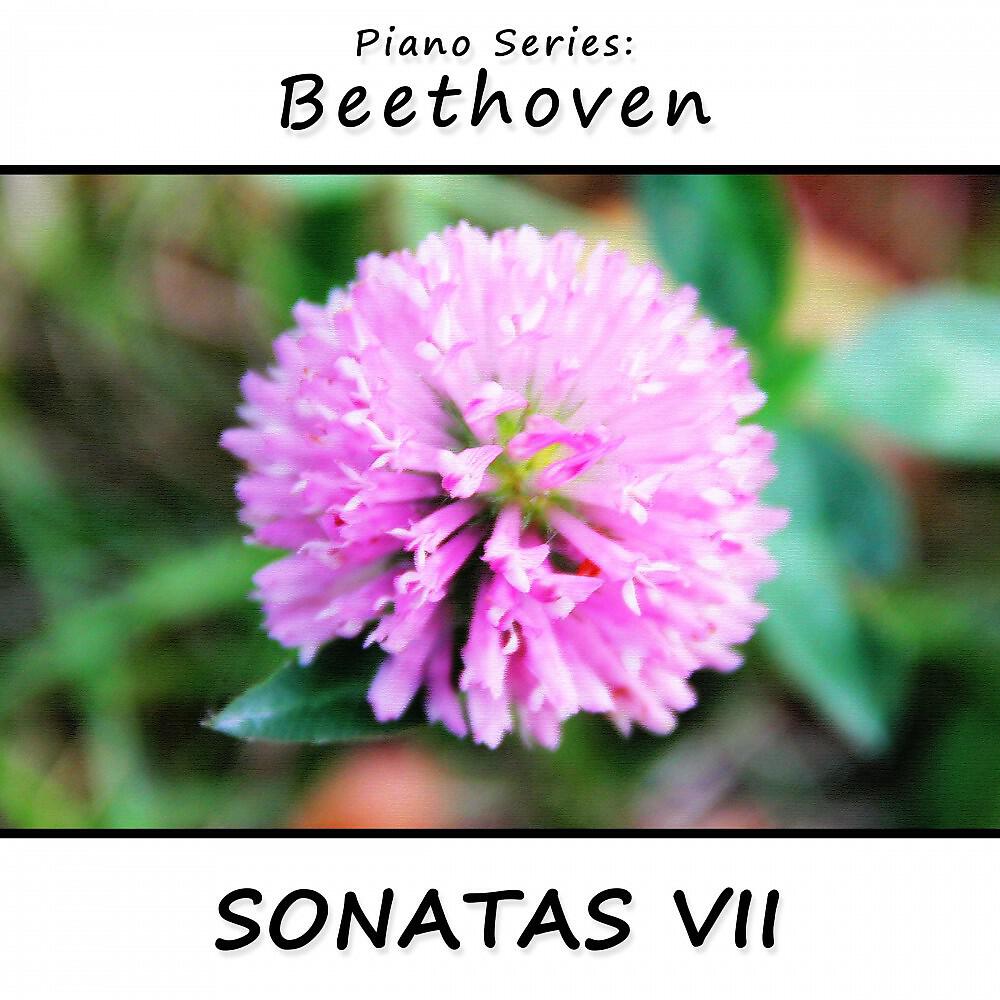 James Wright Webber - Sonata No. 15 in D Major, Op. 28 (Pastorale): II Andante