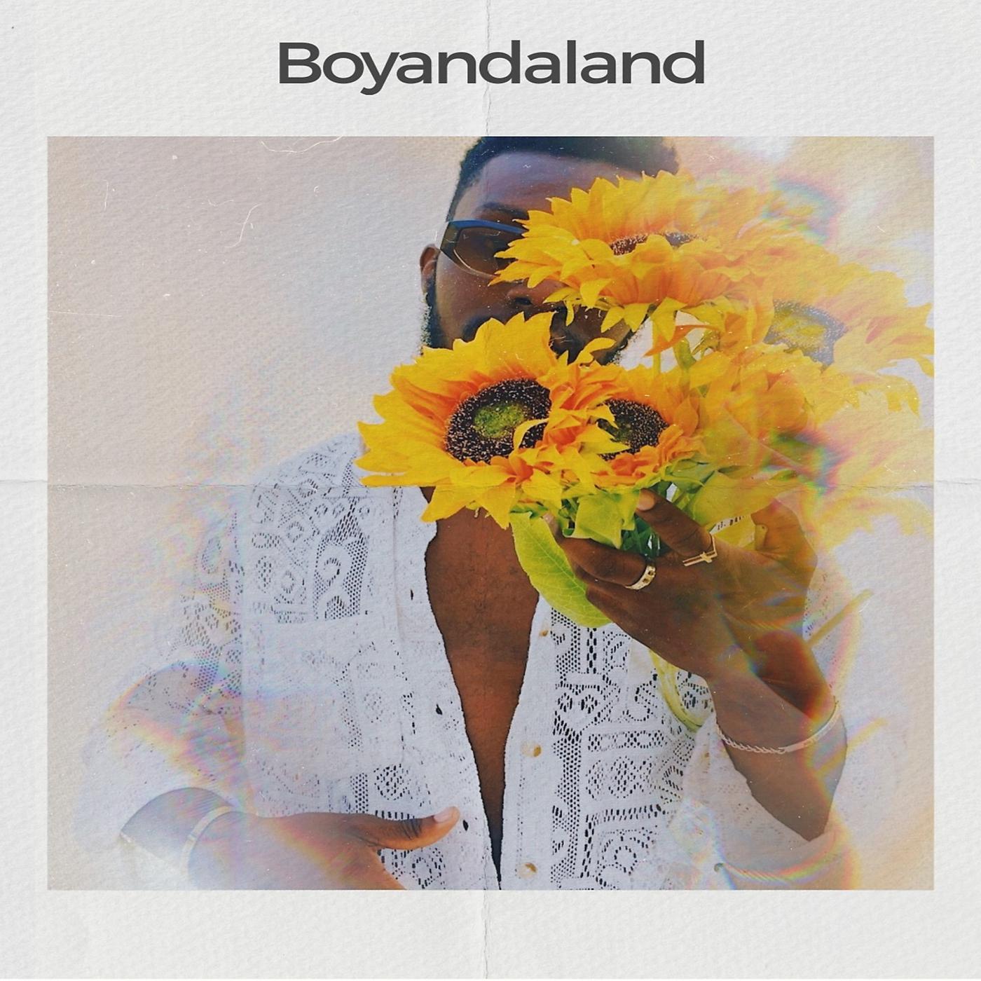 Постер альбома Boyandaland
