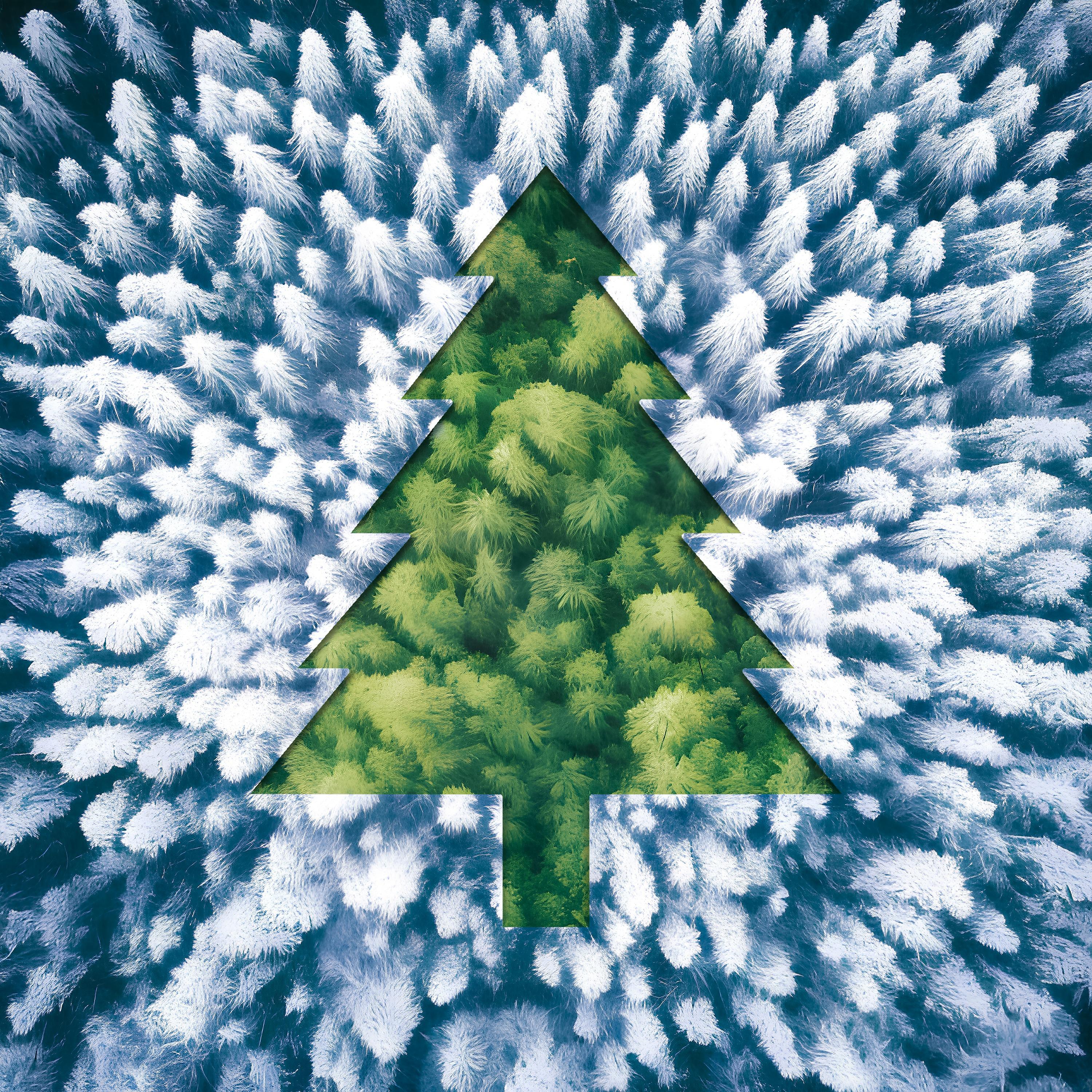Постер альбома Зелёный лес