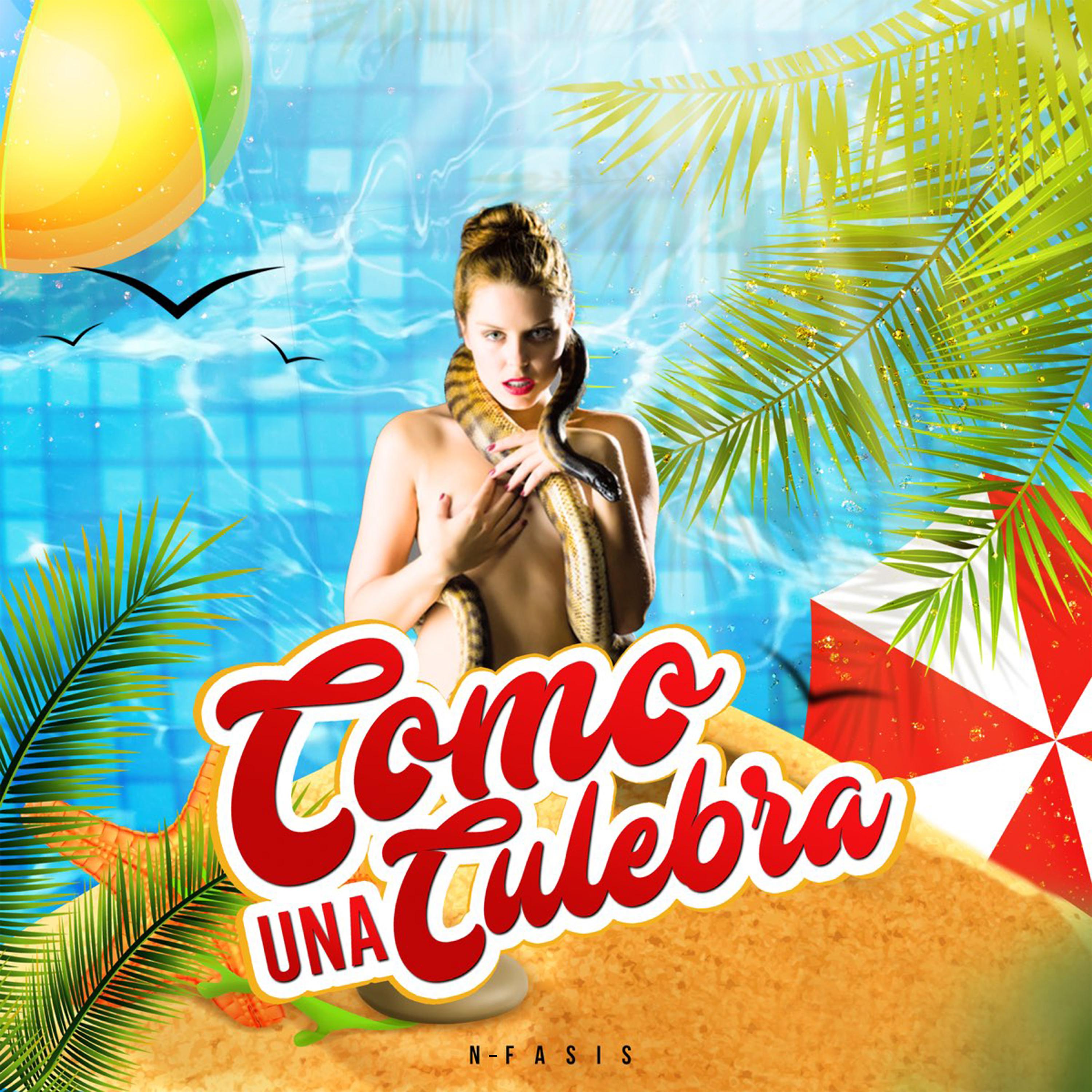 Постер альбома Como una Culebra