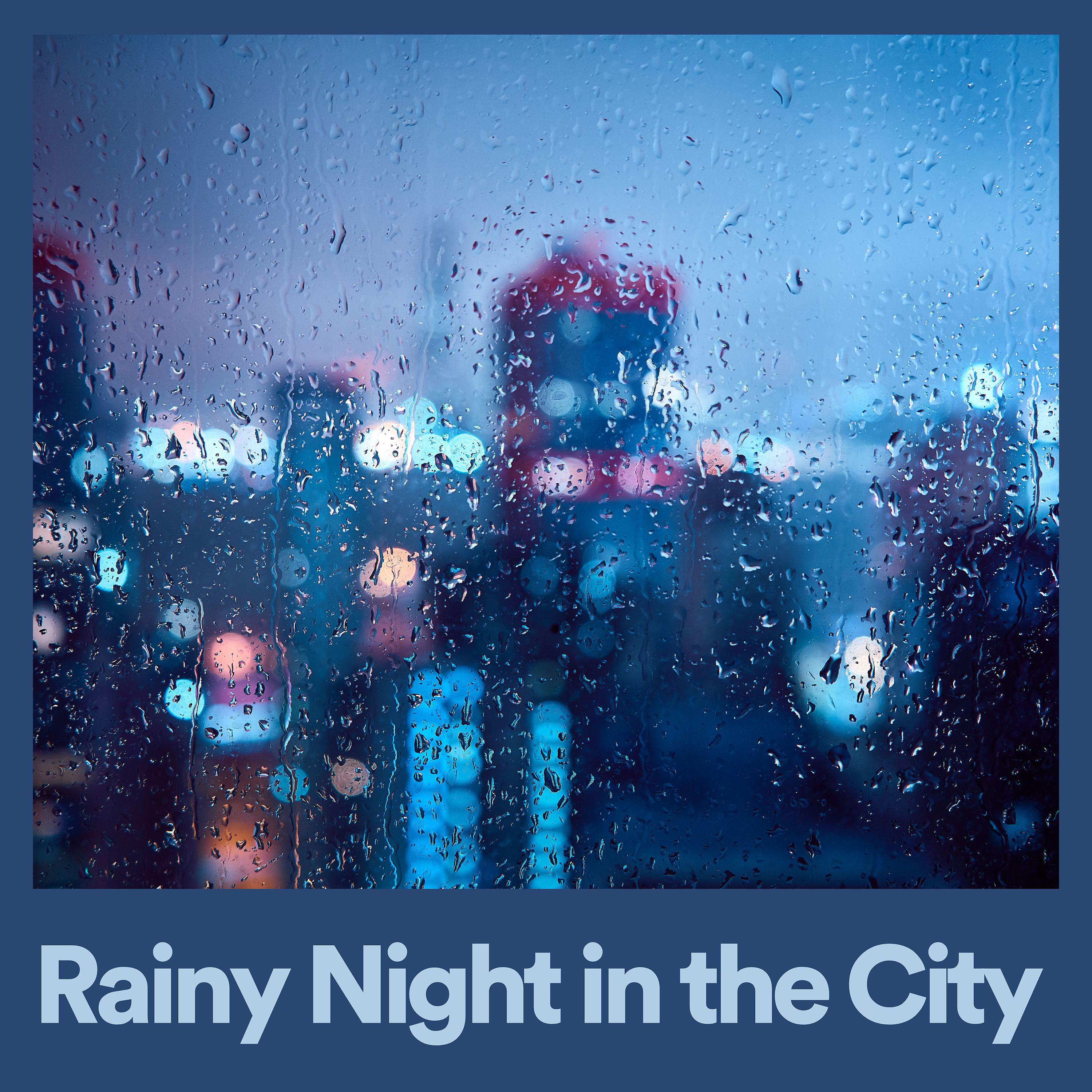 Постер альбома Rainy Night in the City