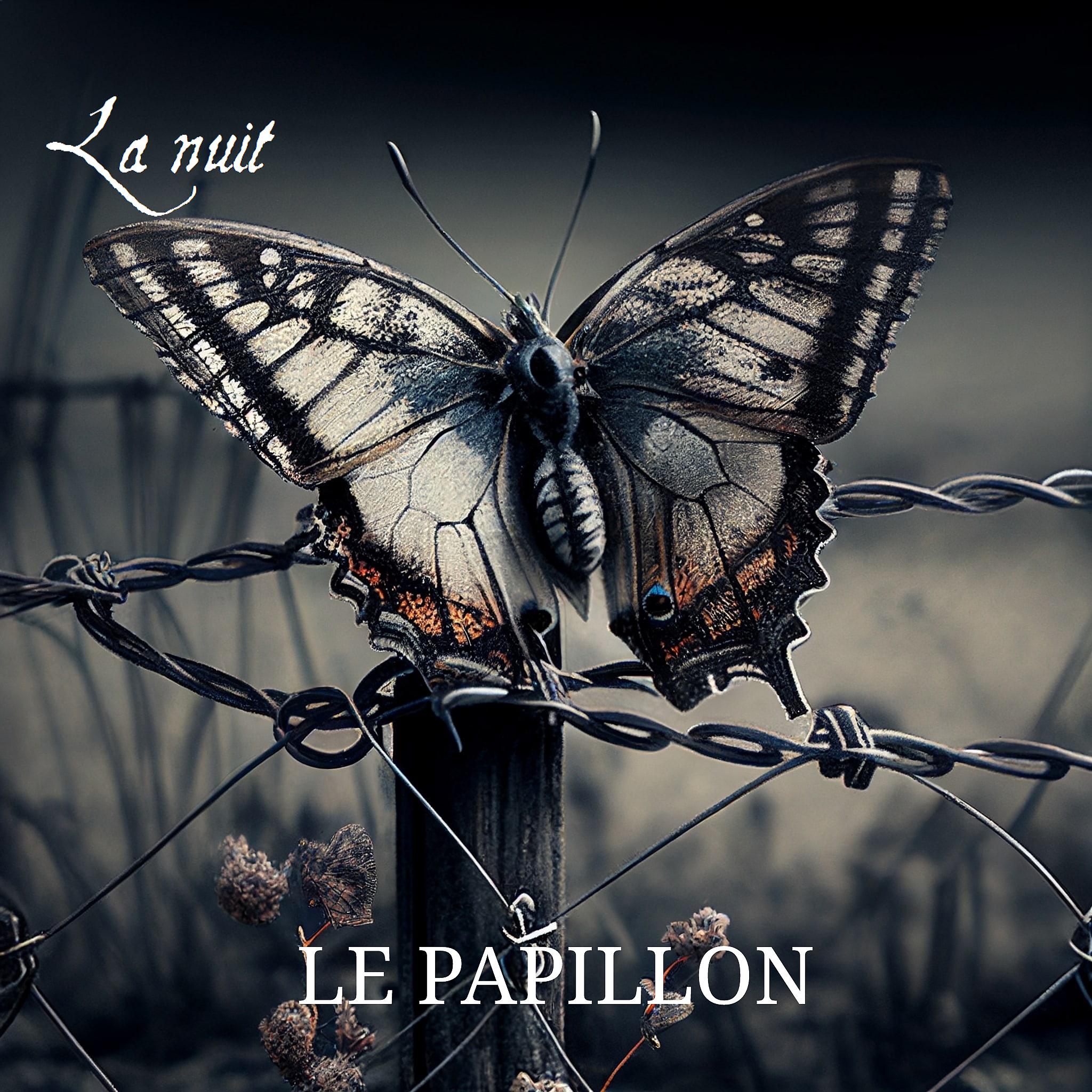 Постер альбома Le Papillon