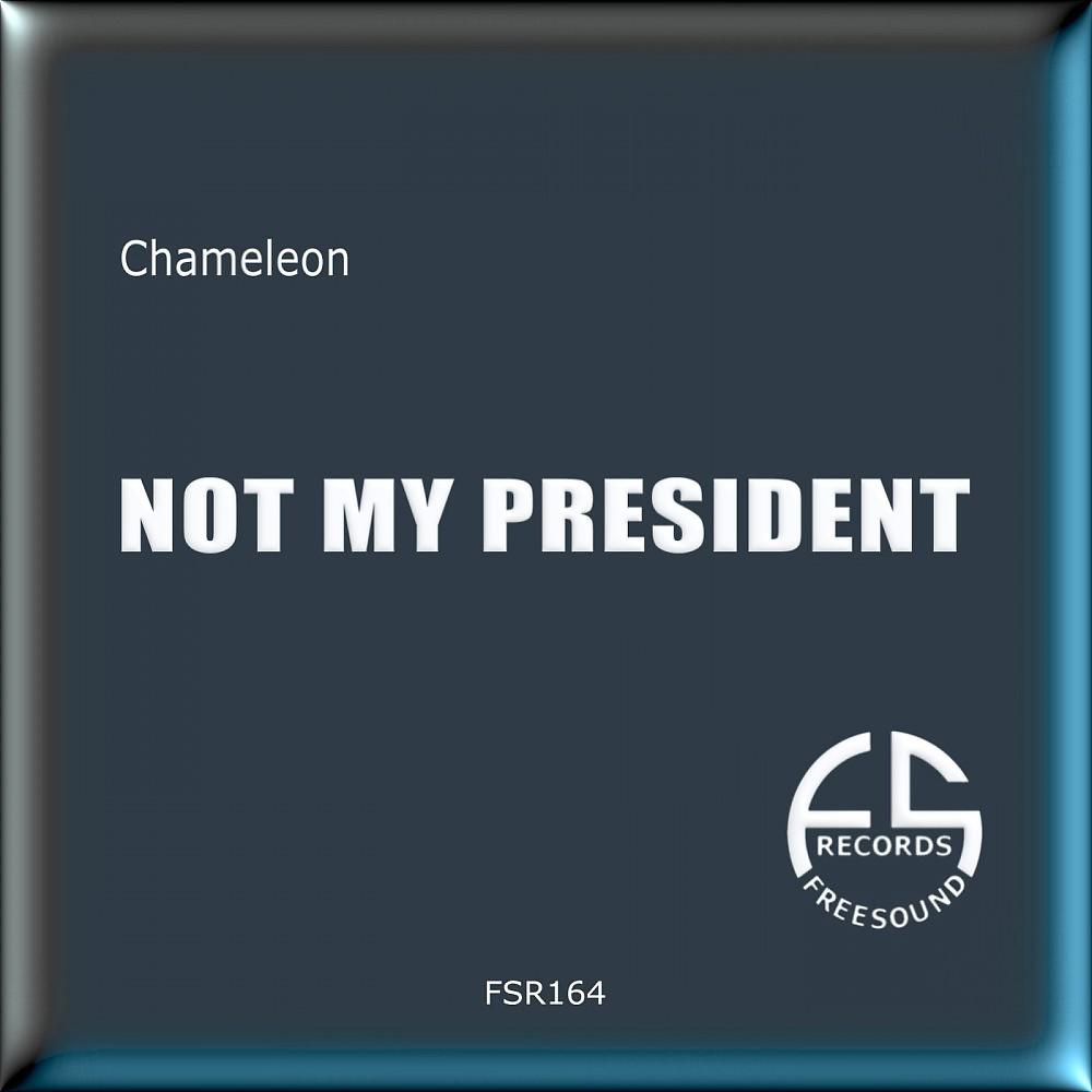 Постер альбома Not My President