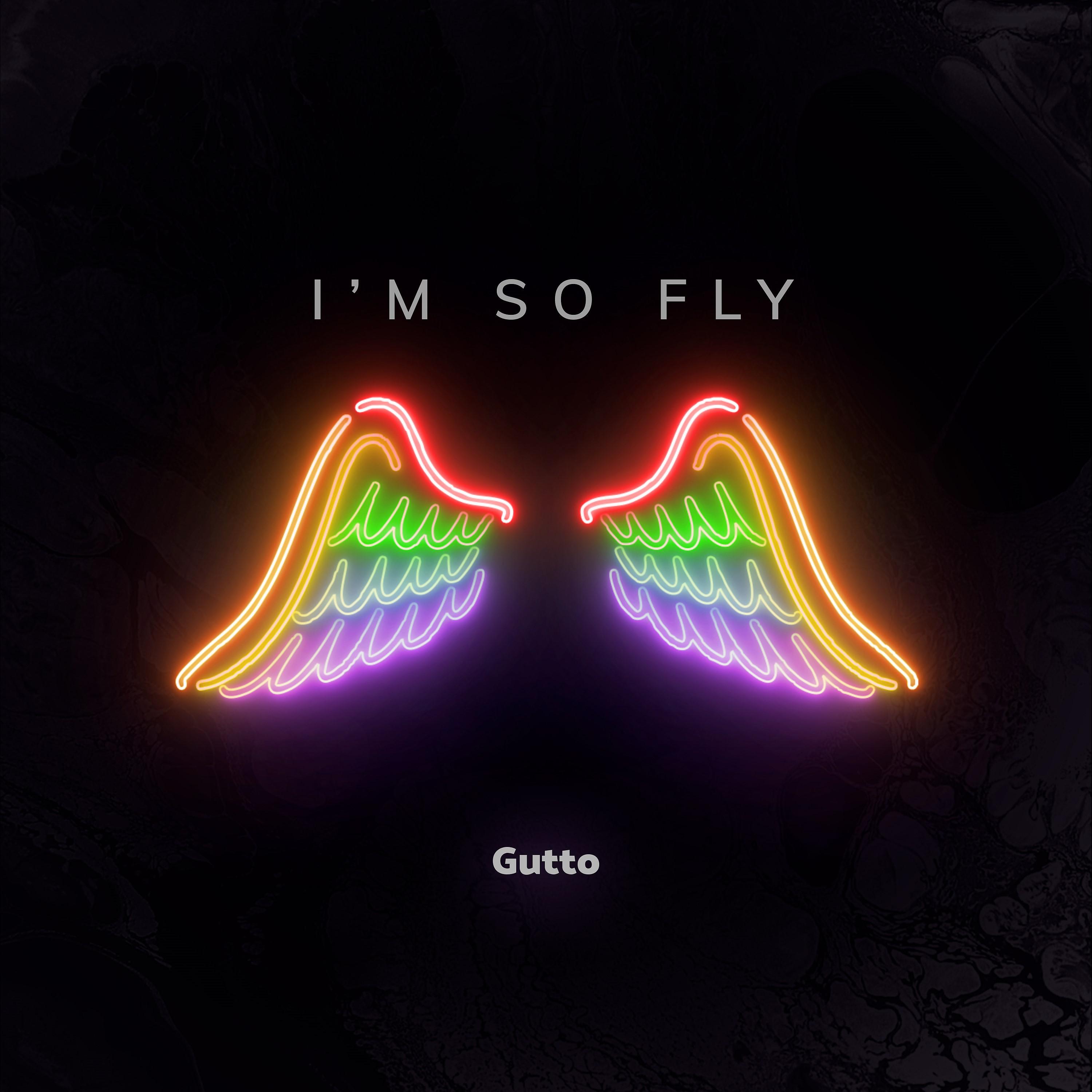 Постер альбома I'm So Fly