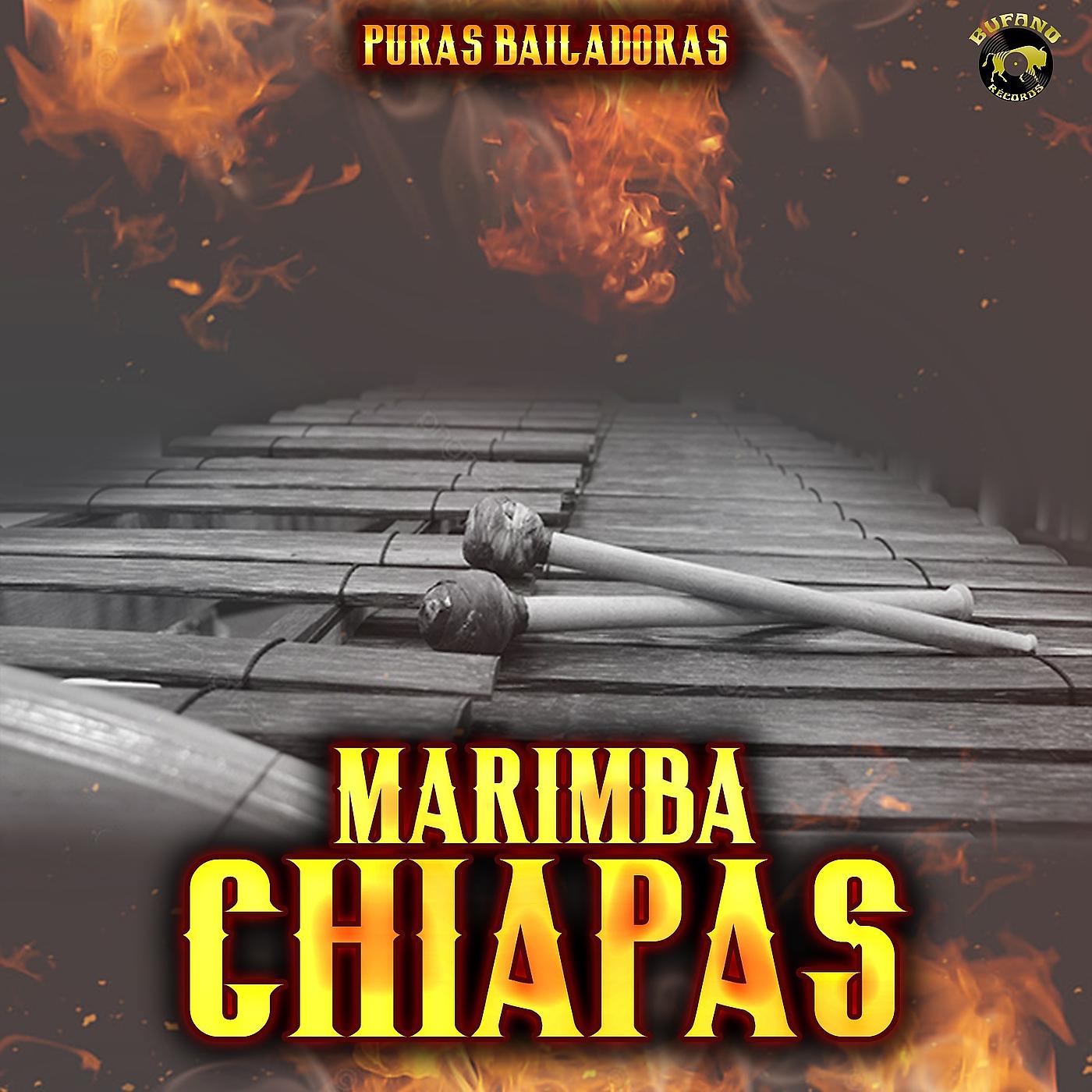 Постер альбома Puras Bailadoras