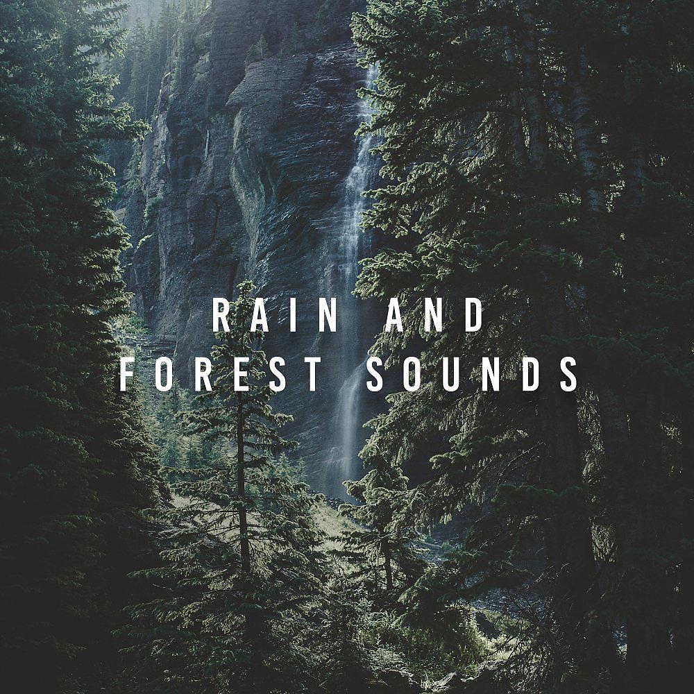 Постер альбома Rain And Forest Sounds