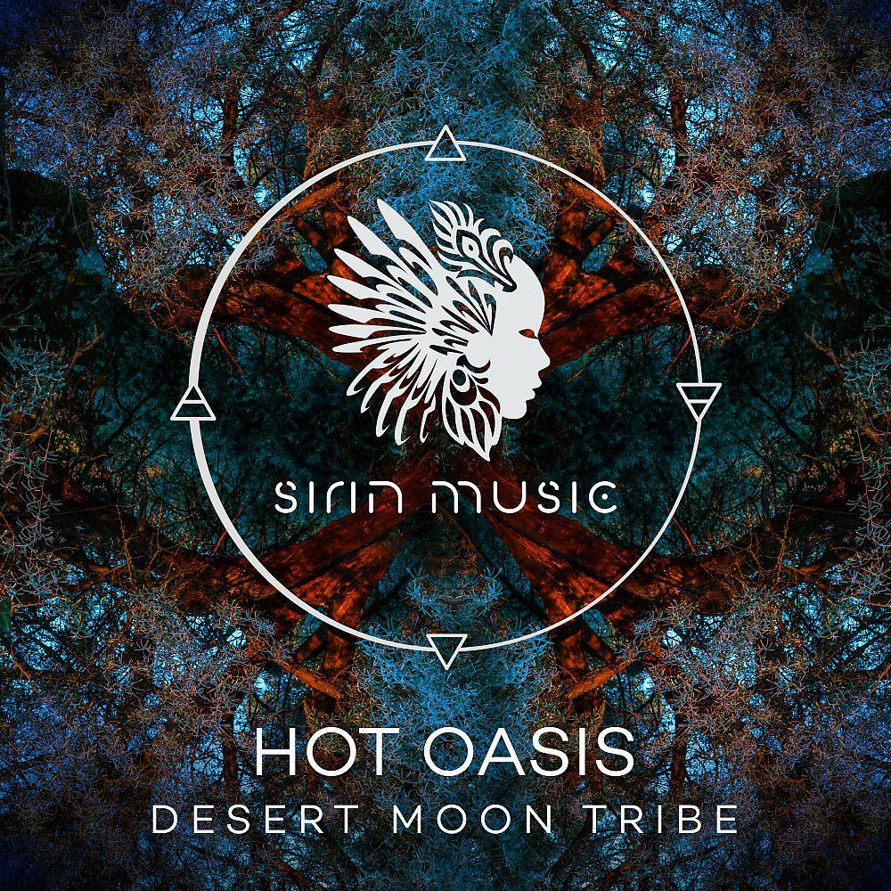 Постер альбома Desert Moon Tribe