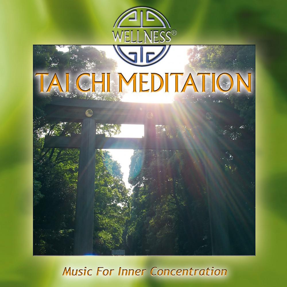 Постер альбома Tai Chi Meditation - Music for Inner Concentration