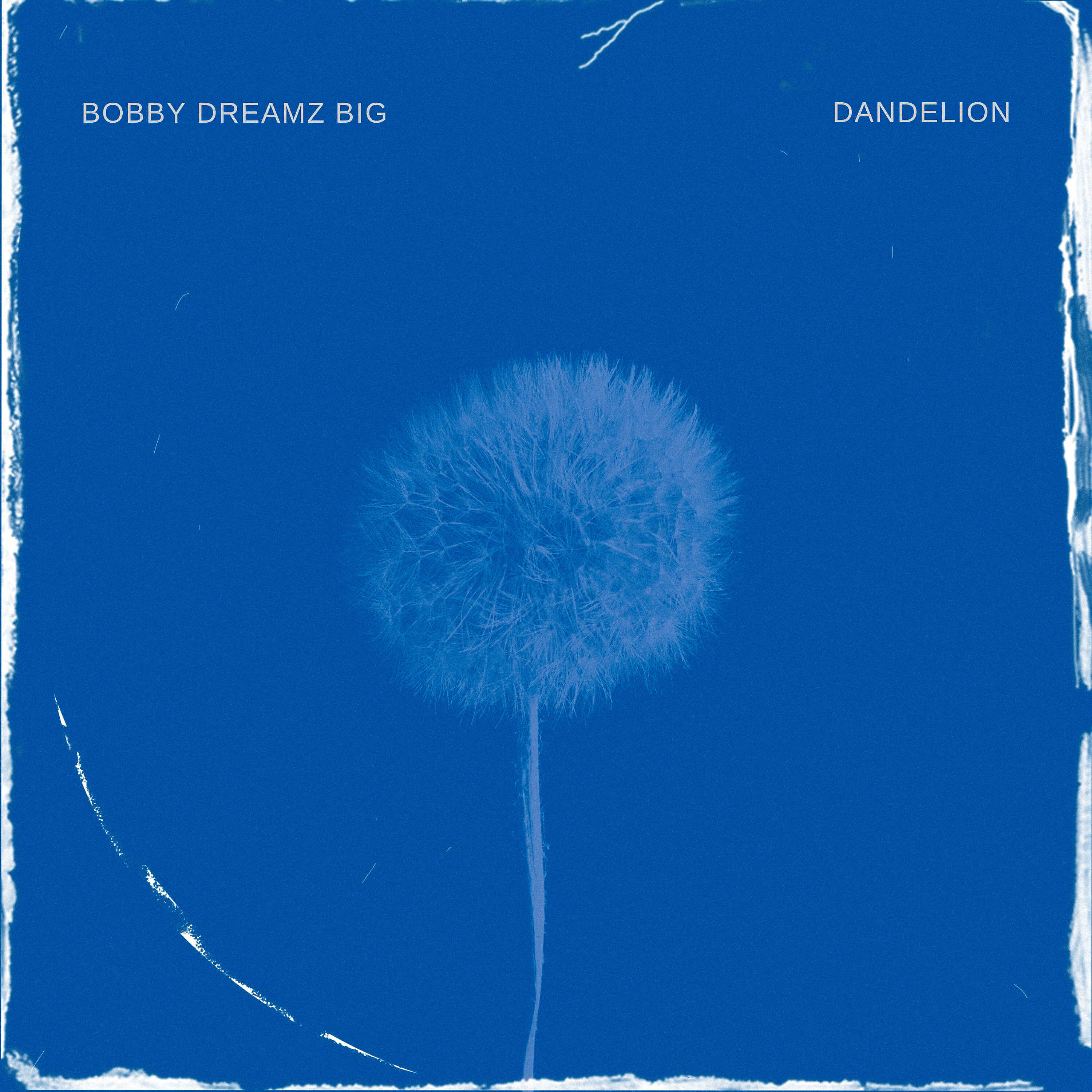 Bobby Dreamz BIG - Dandelion