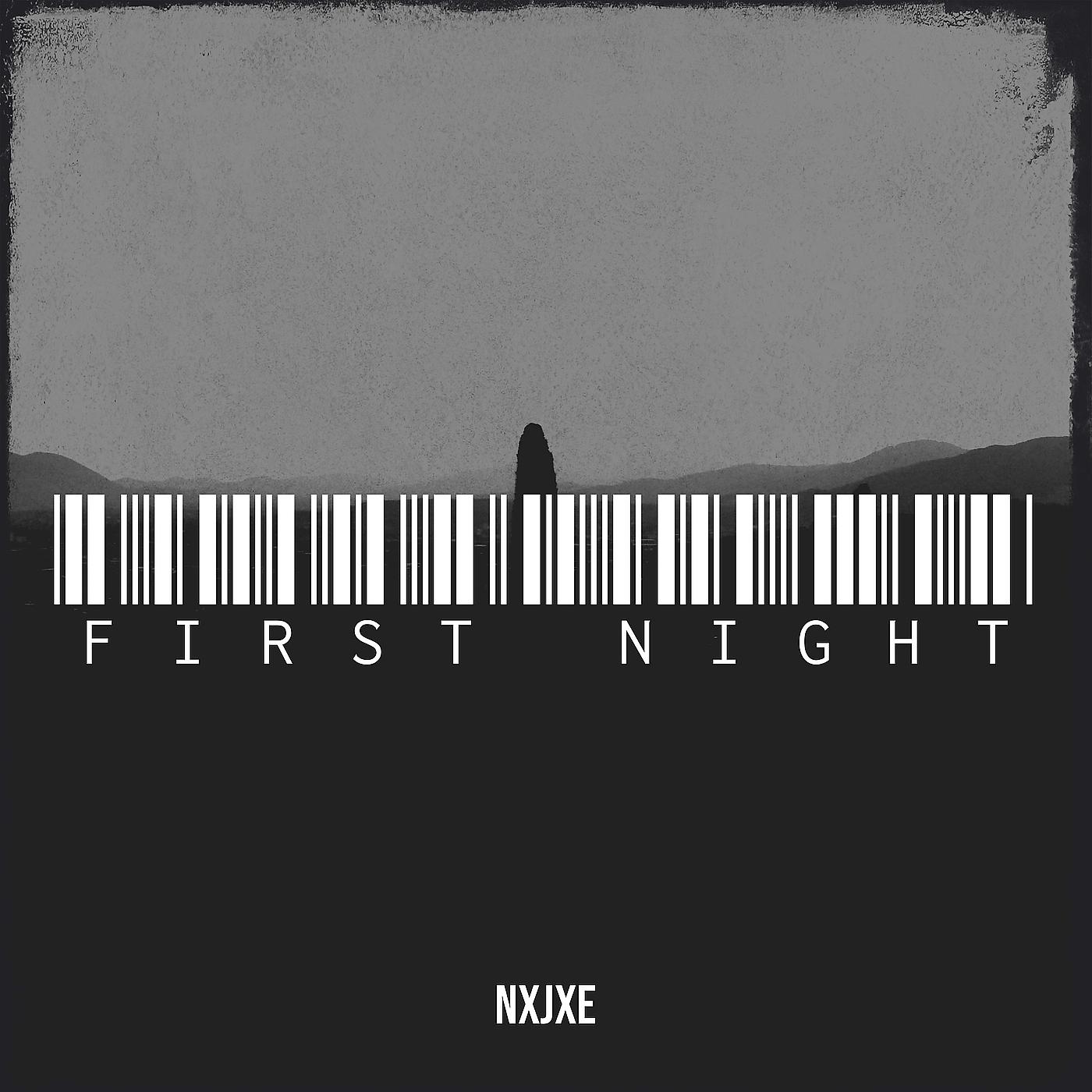 Постер альбома First Night
