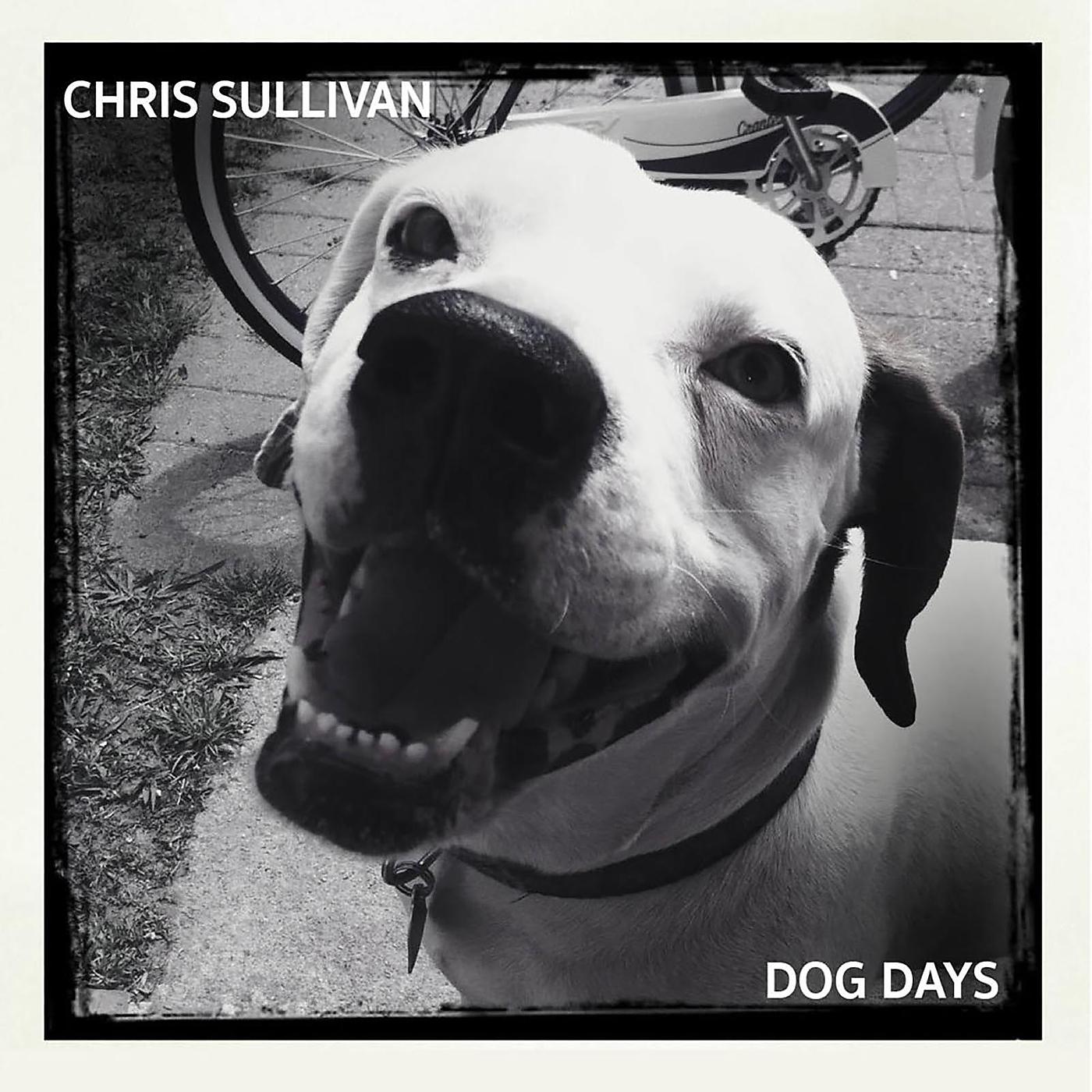 Постер альбома Dog Days