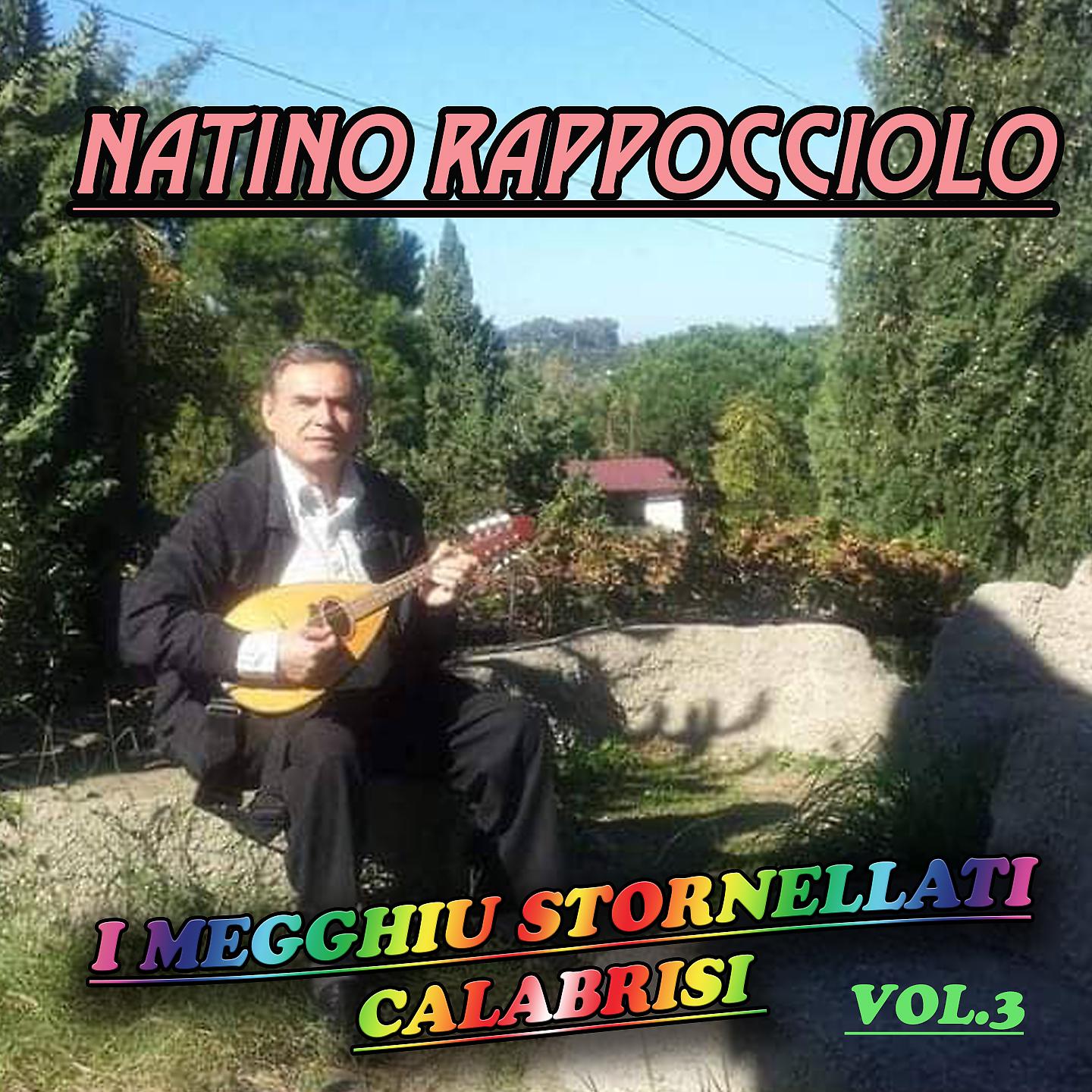 Постер альбома I megghiu stornellati calabrisi, Vol. 3