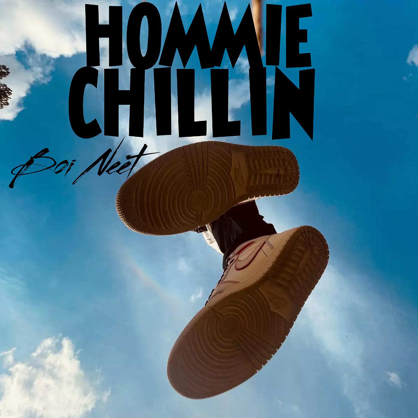 Постер альбома Hommie Chillin