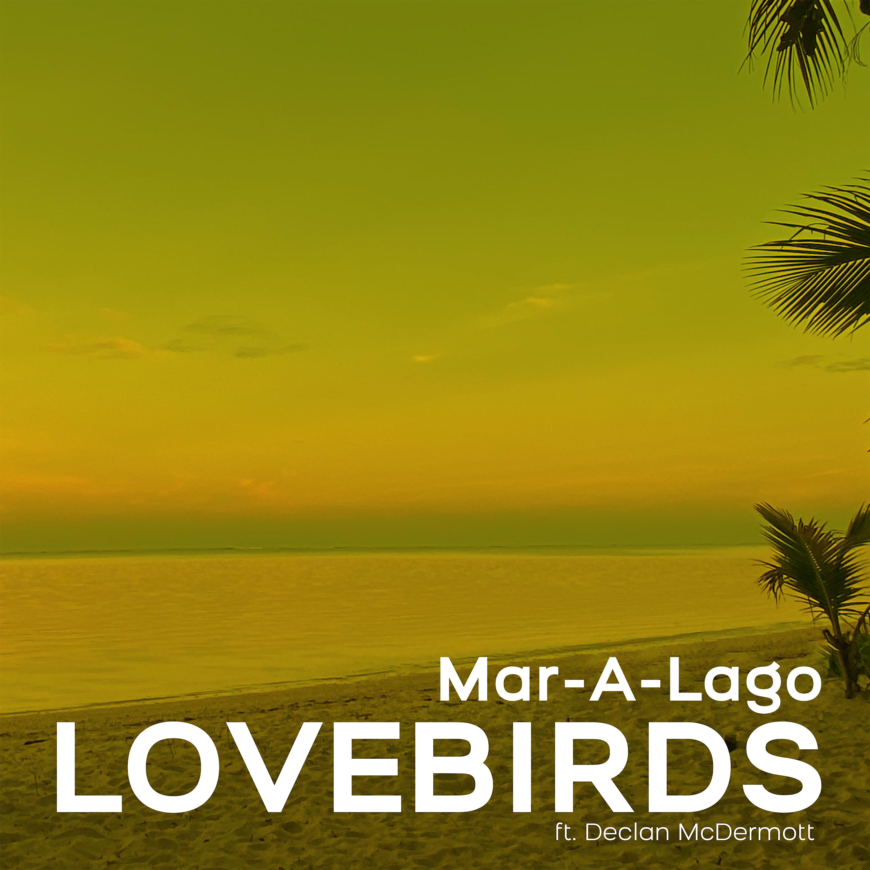 Постер альбома Mar-A-Lago