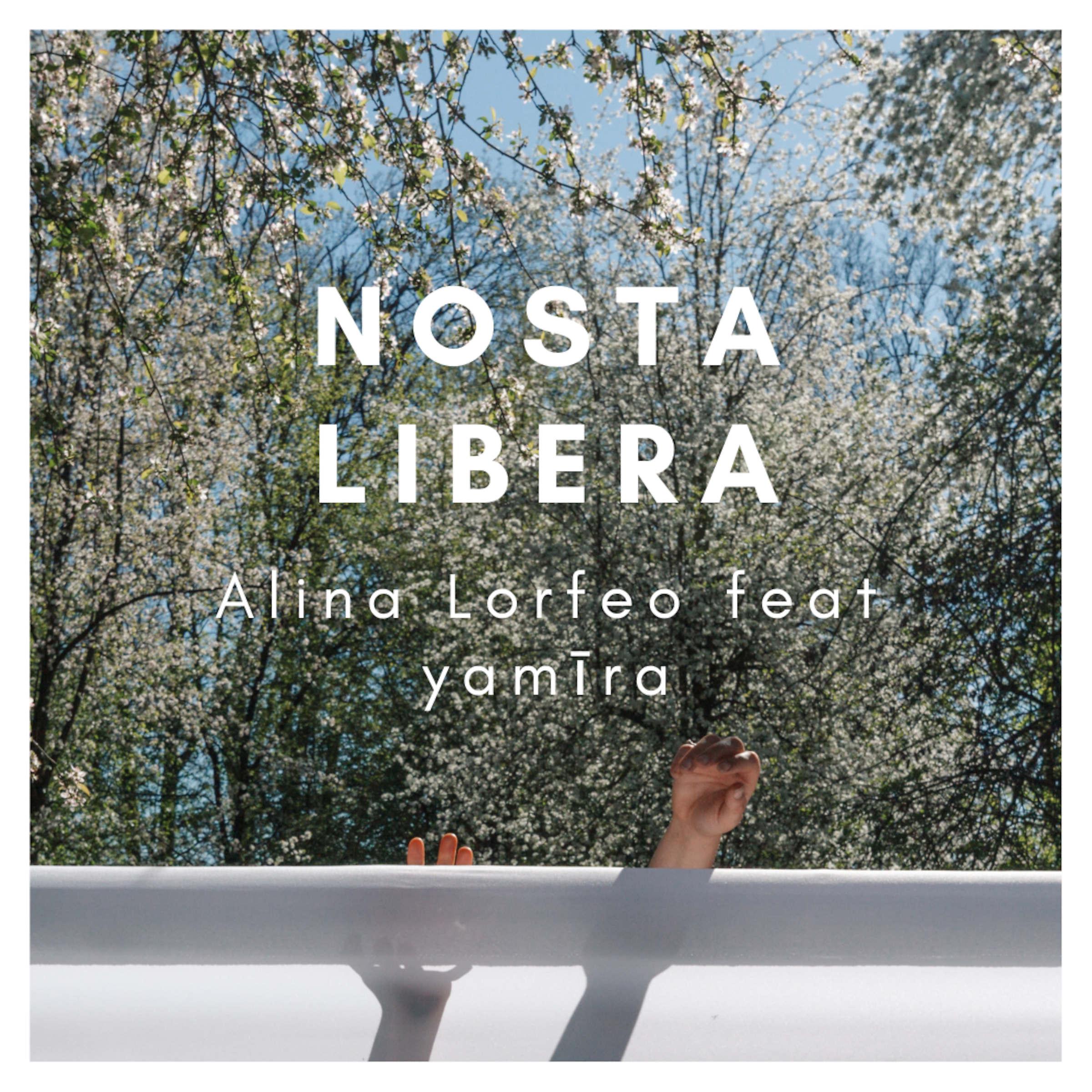 Постер альбома Nosta Libera