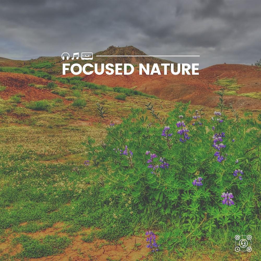 Постер альбома Focused Nature
