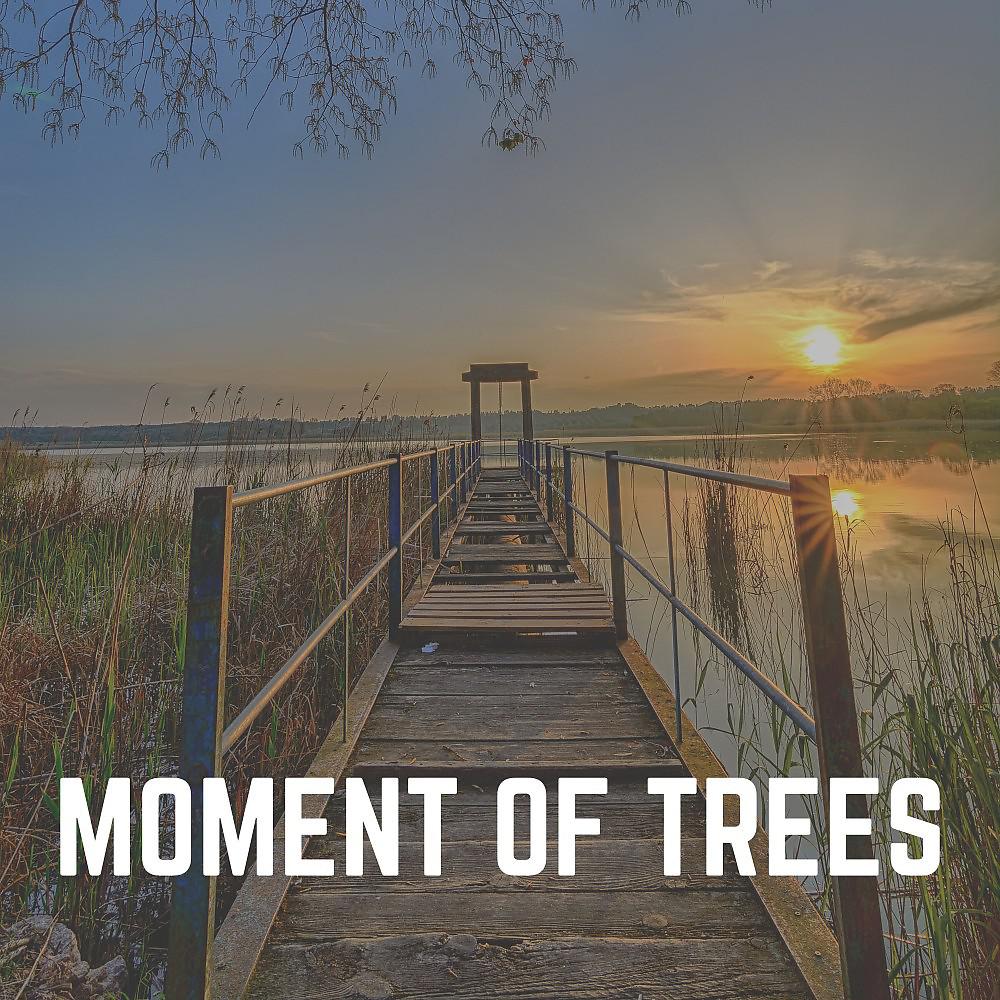 Постер альбома Moment of Trees
