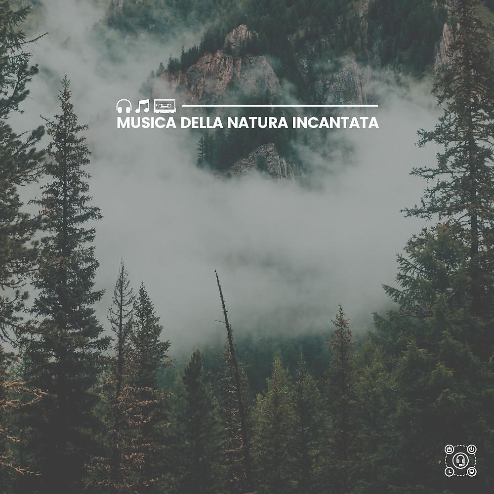 Постер альбома Musica della natura incantata