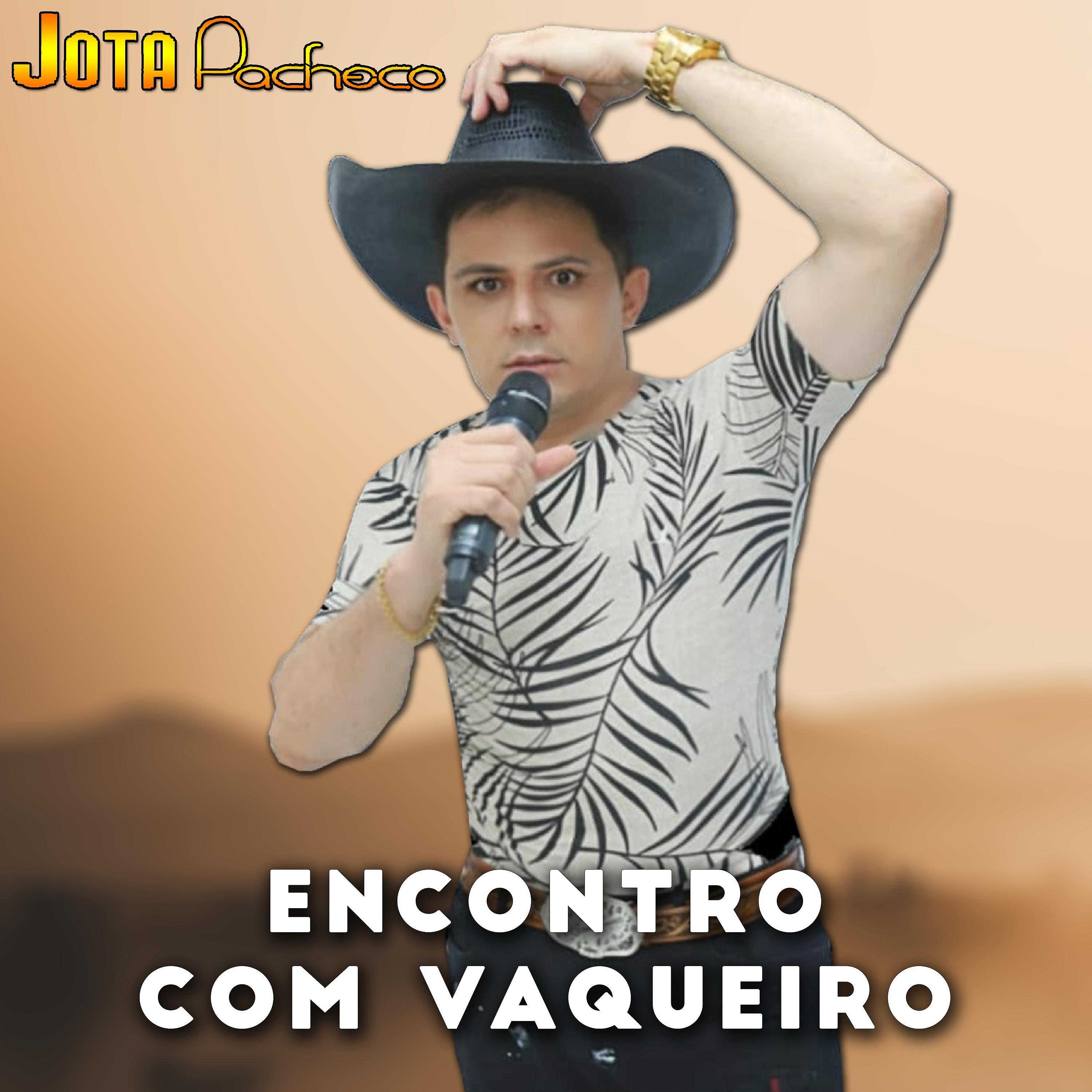 Постер альбома Encontro Com Vaqueiro