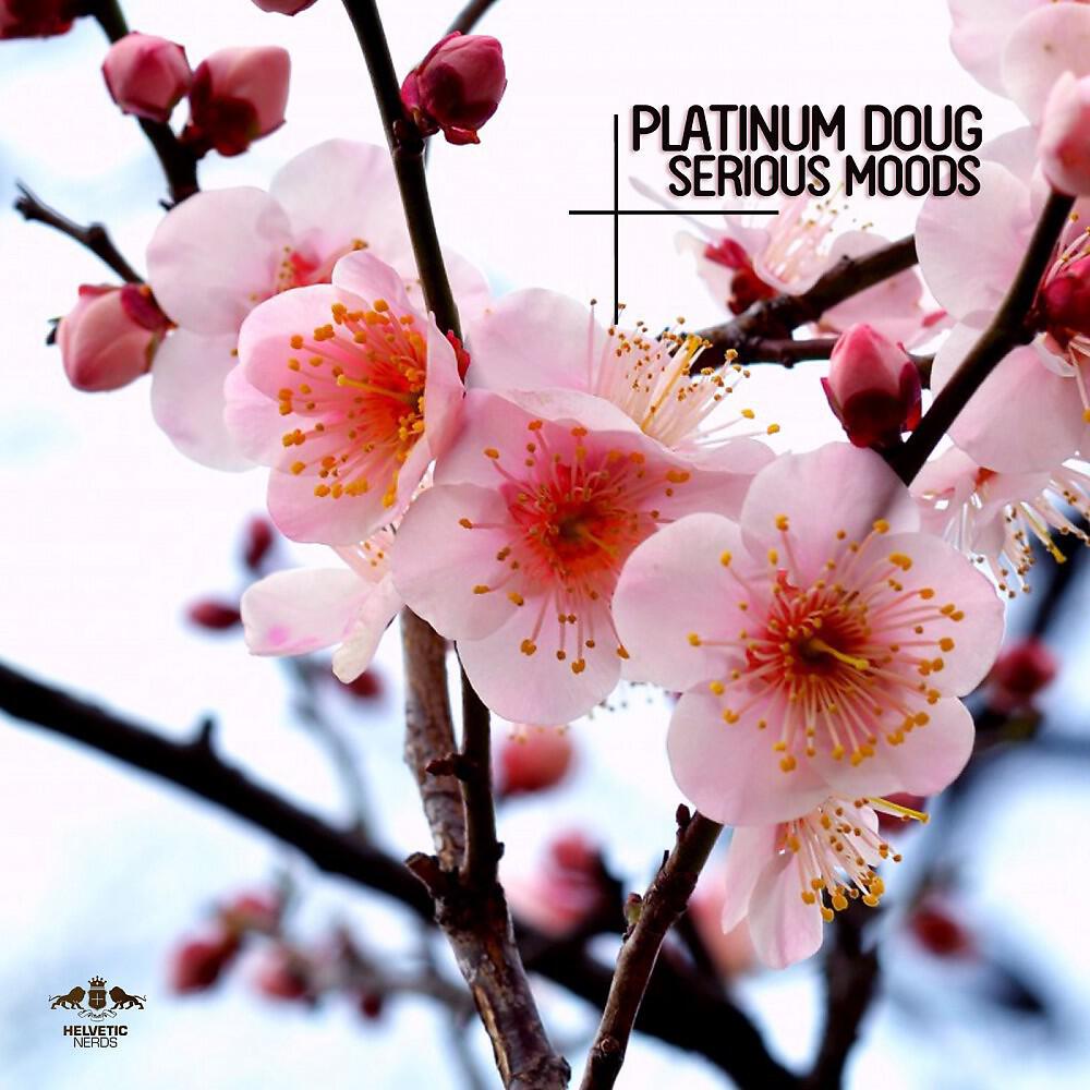 Platinum Doug - Serious Moods (Original Mix)