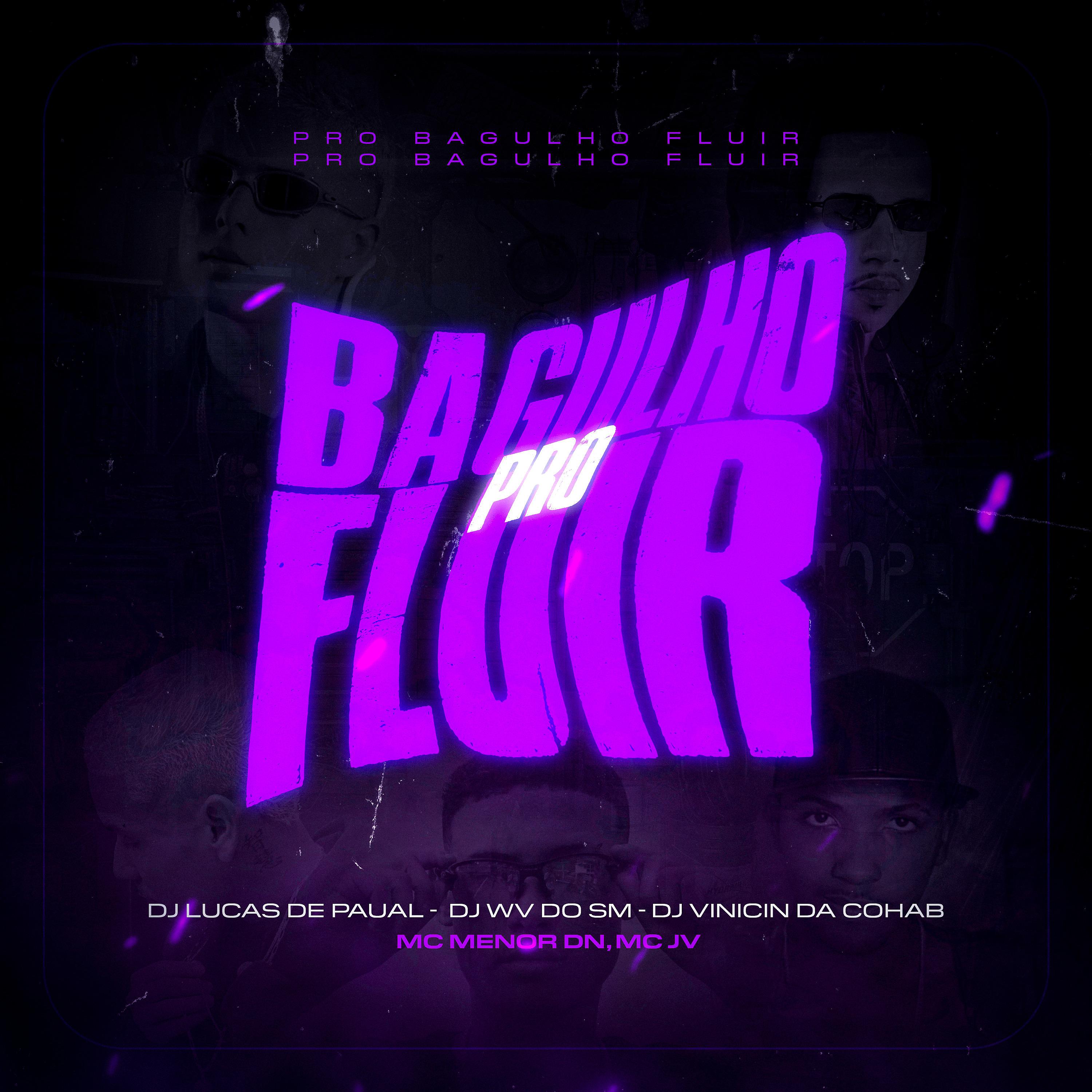 Постер альбома Pro Bagulho Fluir