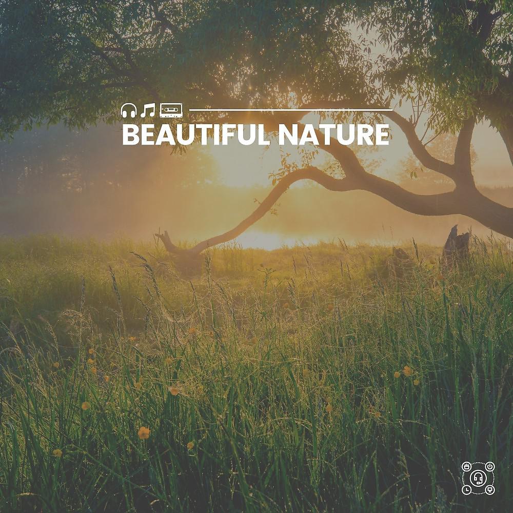 Постер альбома Beautiful Nature