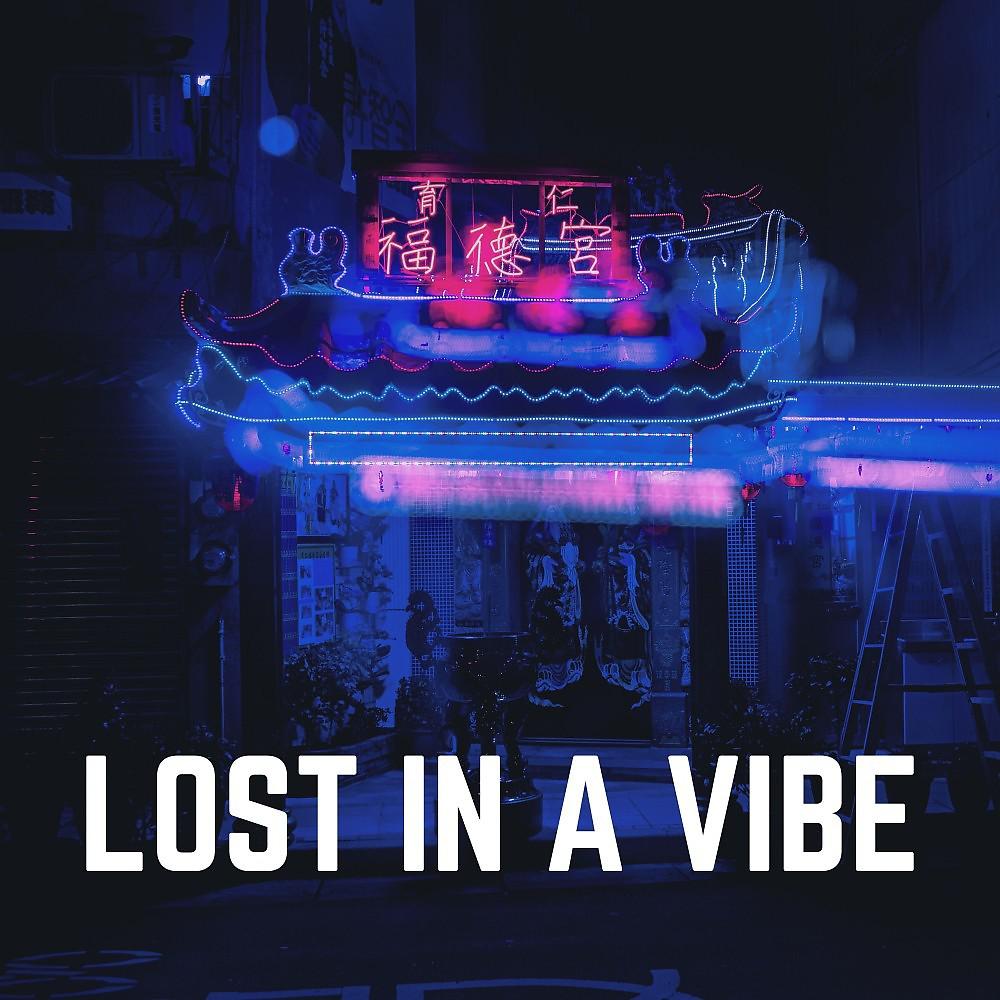Постер альбома Lost in a Vibe