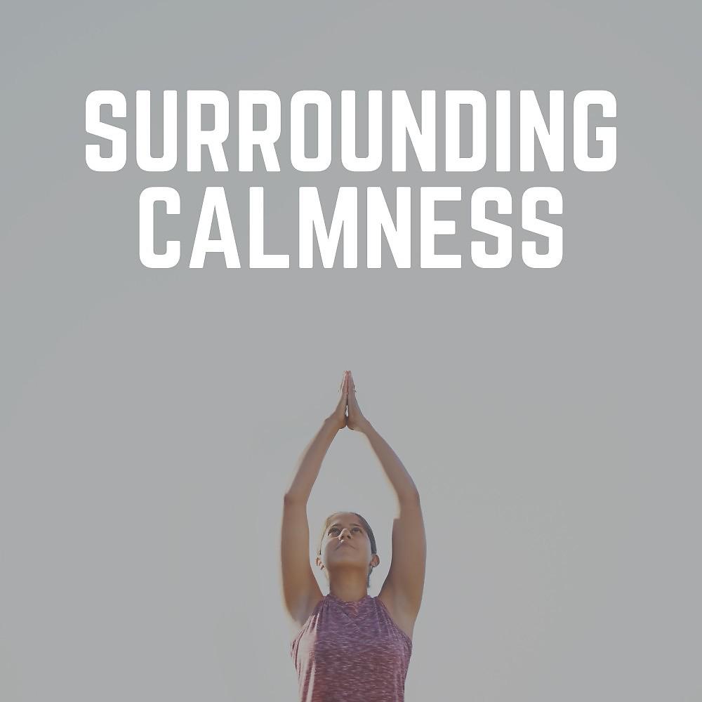 Постер альбома Surrounding Calmness