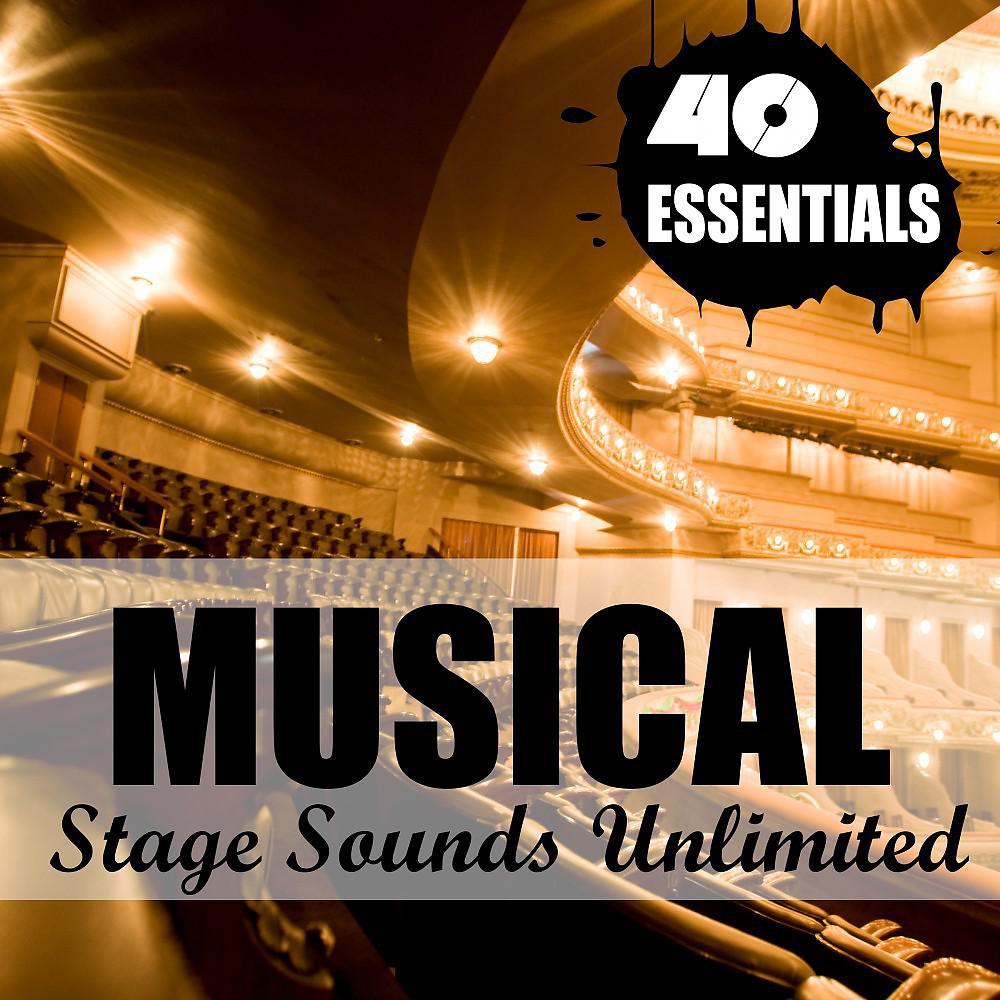 Постер альбома Musical - 40 Essentials