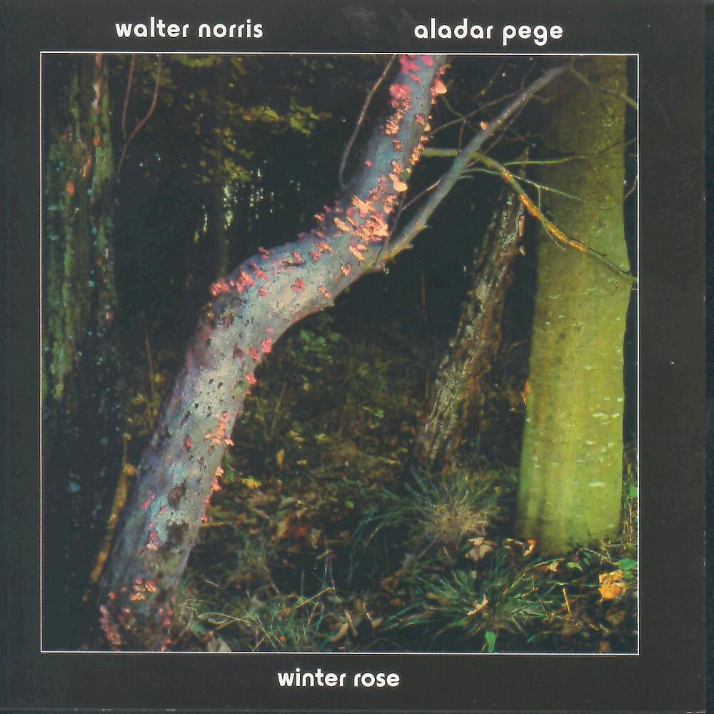 Aladar Pege & Walter Norris - For High Notes