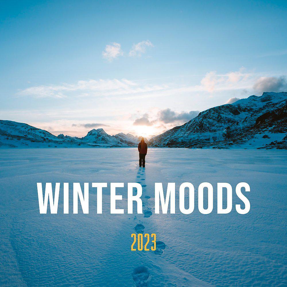 Постер альбома Winter Moods 2023