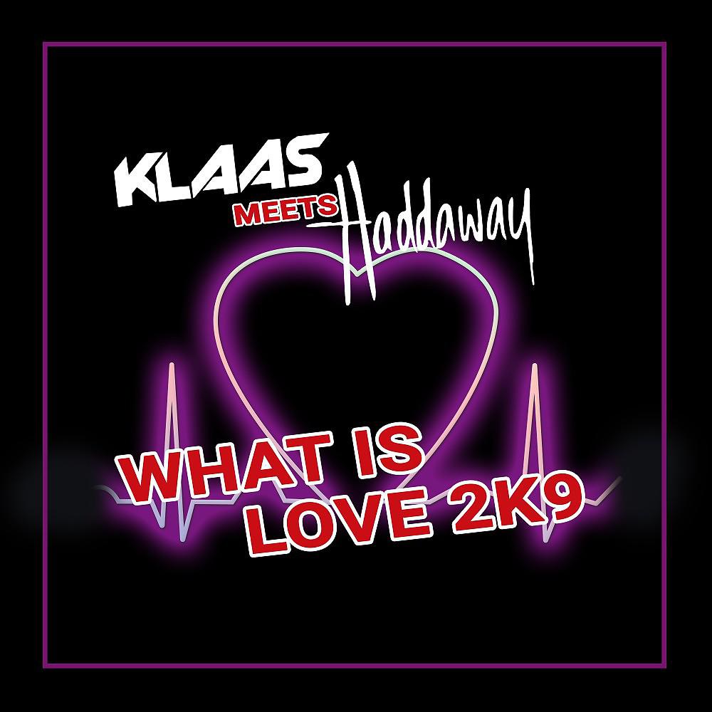 Постер альбома What Is Love 2K9