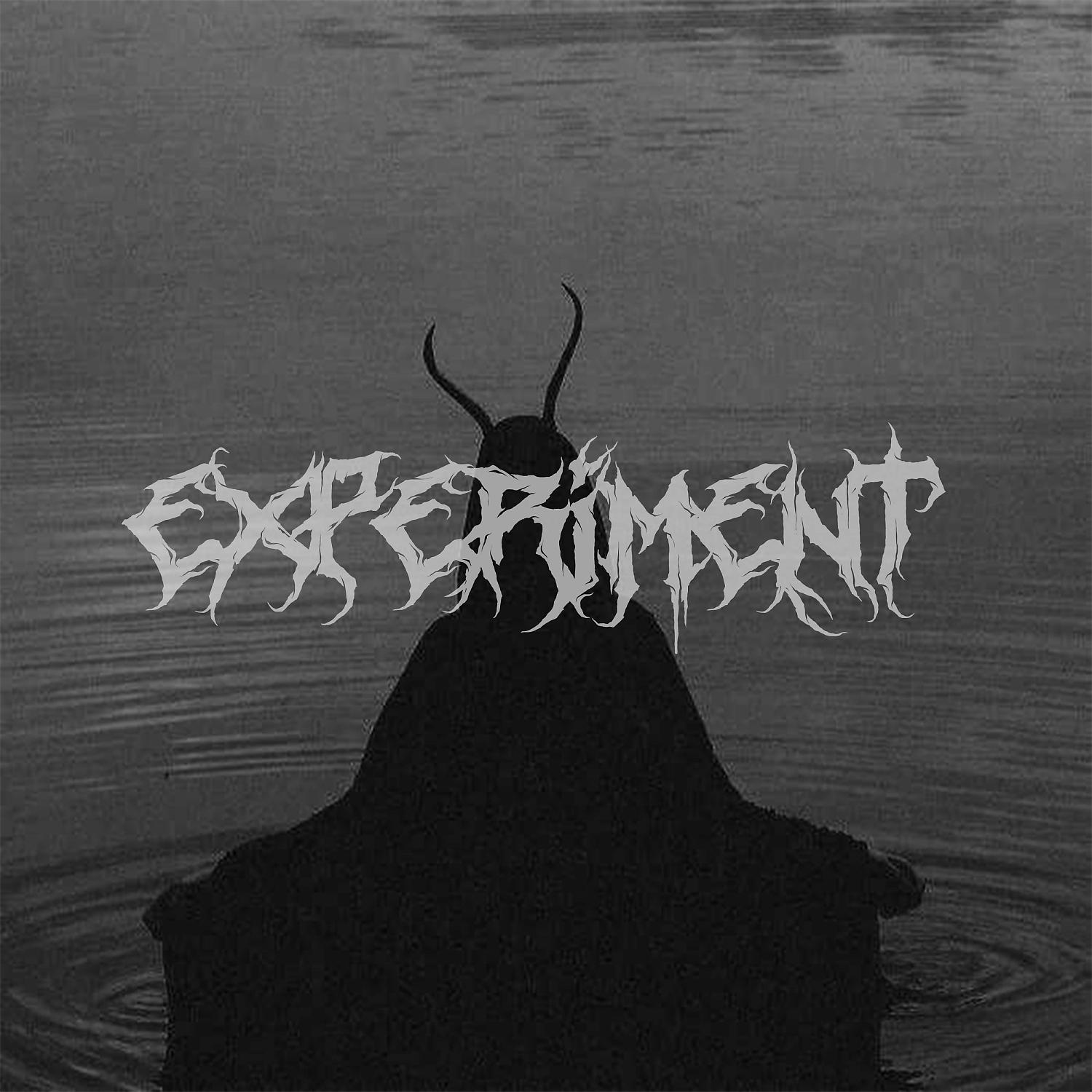 Постер альбома Experiment.