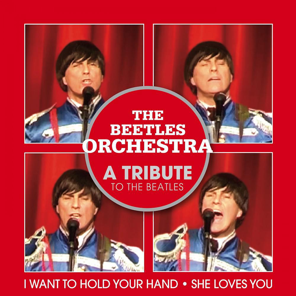 Постер альбома I Want to Hold Your Hand / She Loves You (A Tribute to the Beatles)