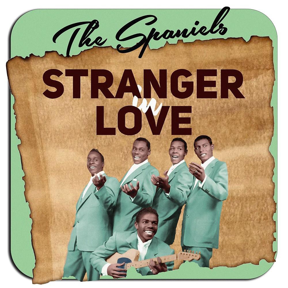 Постер альбома Stranger in Love