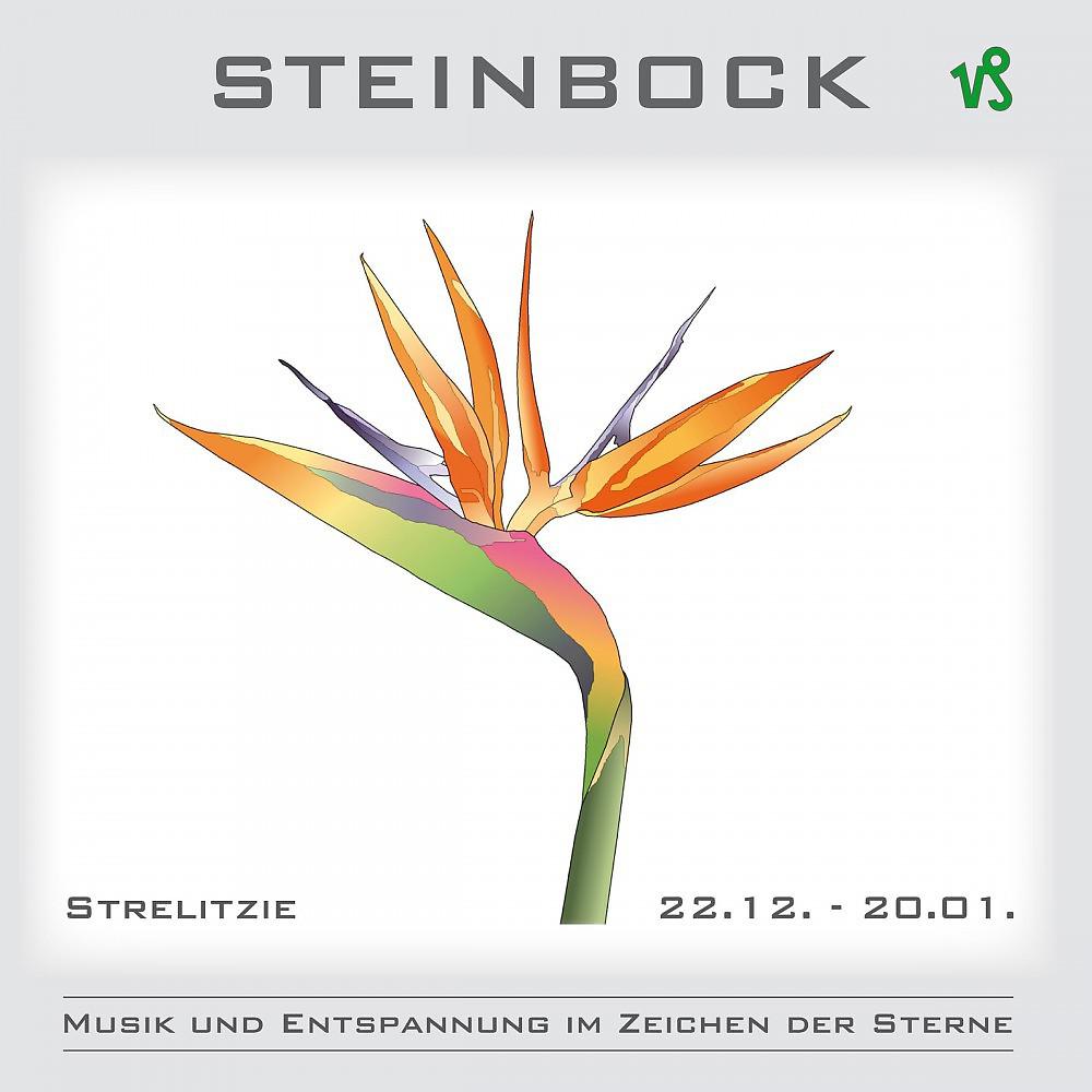Постер альбома Steinbock - Musik und Entspannung im Zeichen der Sterne