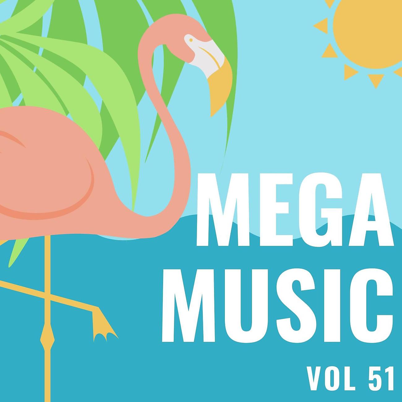 Постер альбома Mega Music Vol 51