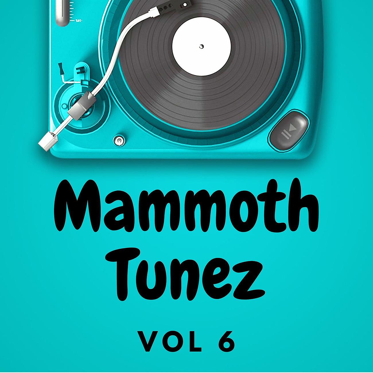 Постер альбома Mammoth Tunez Vol 6