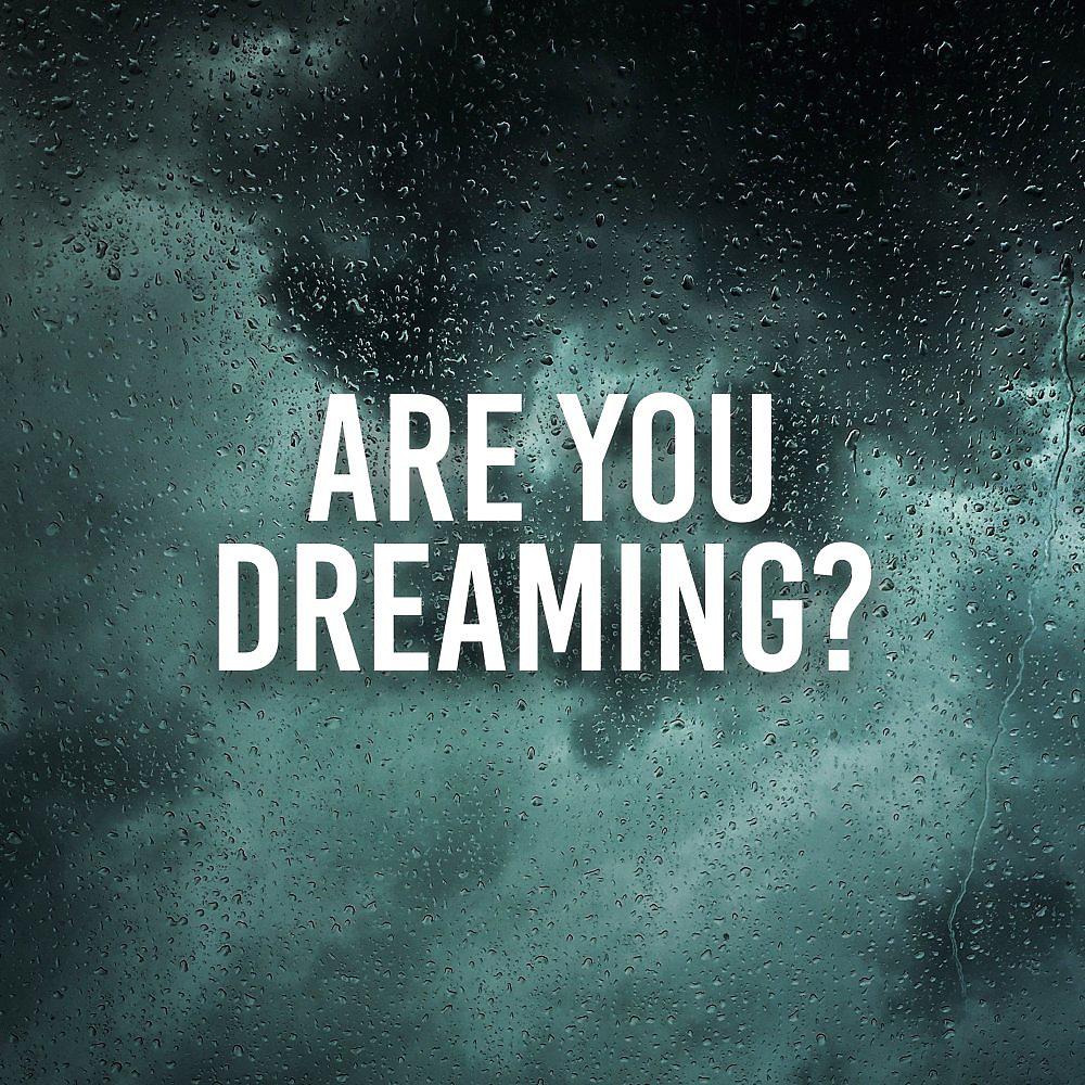 Постер альбома Are You Dreaming?