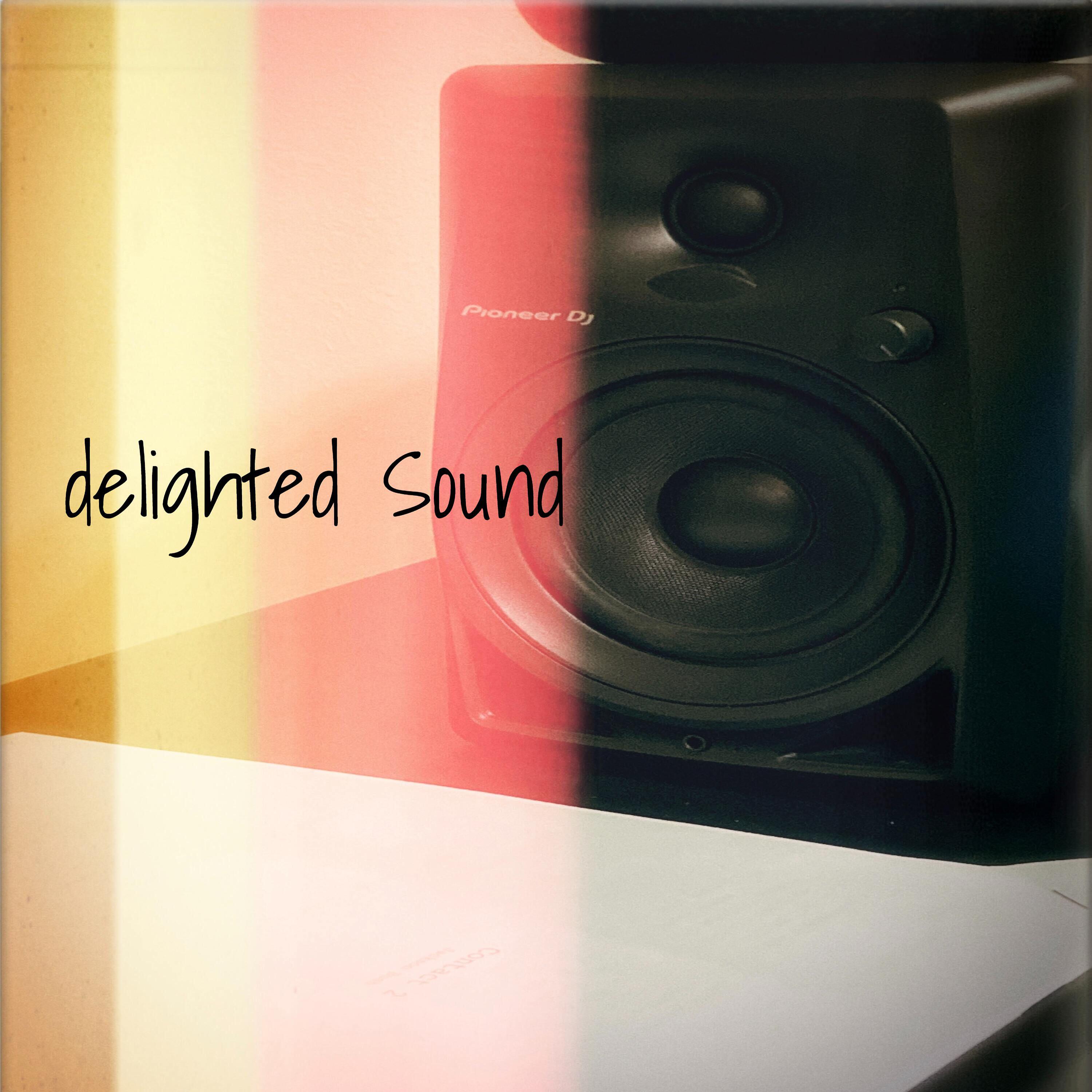 Постер альбома delighted Sound