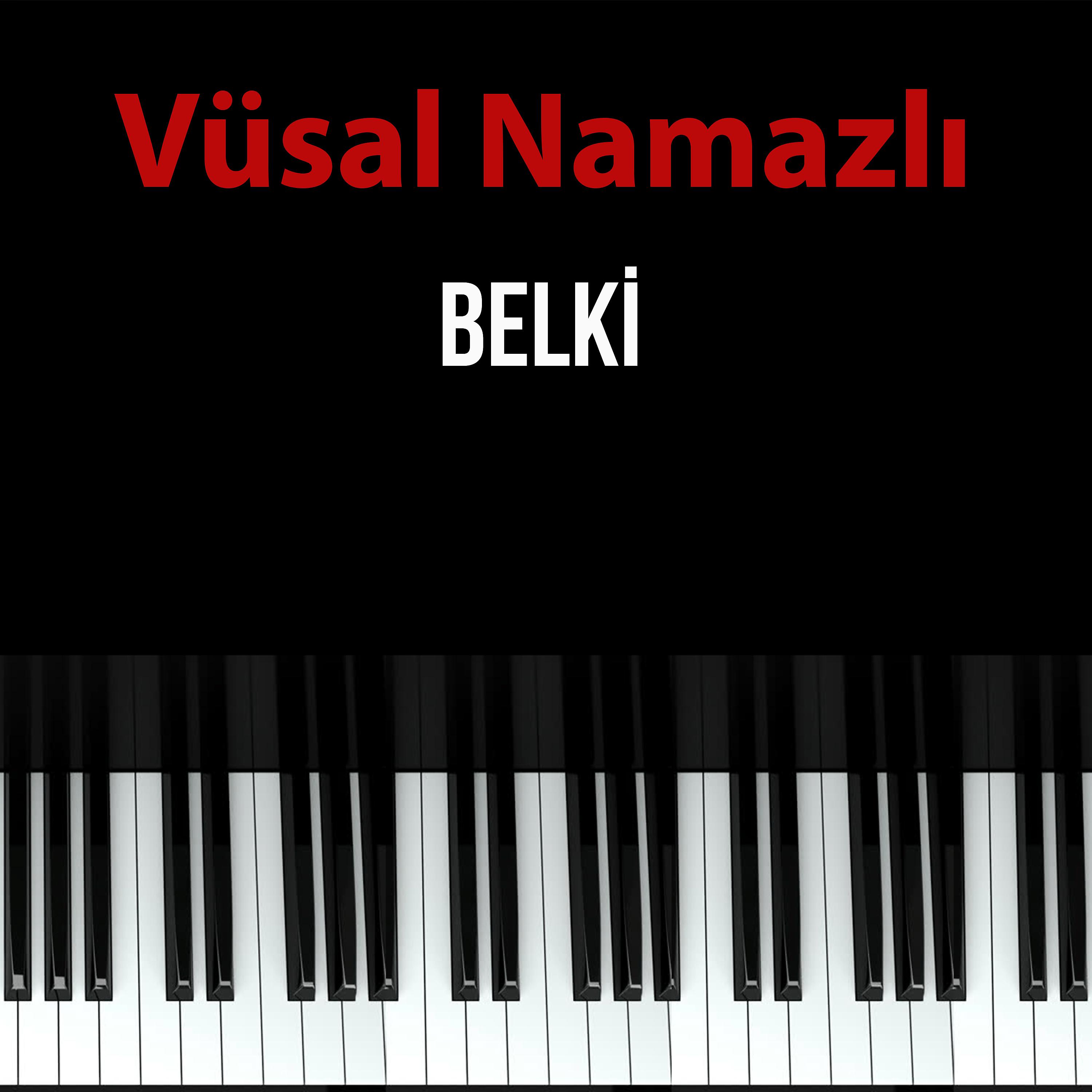 Постер альбома Belki