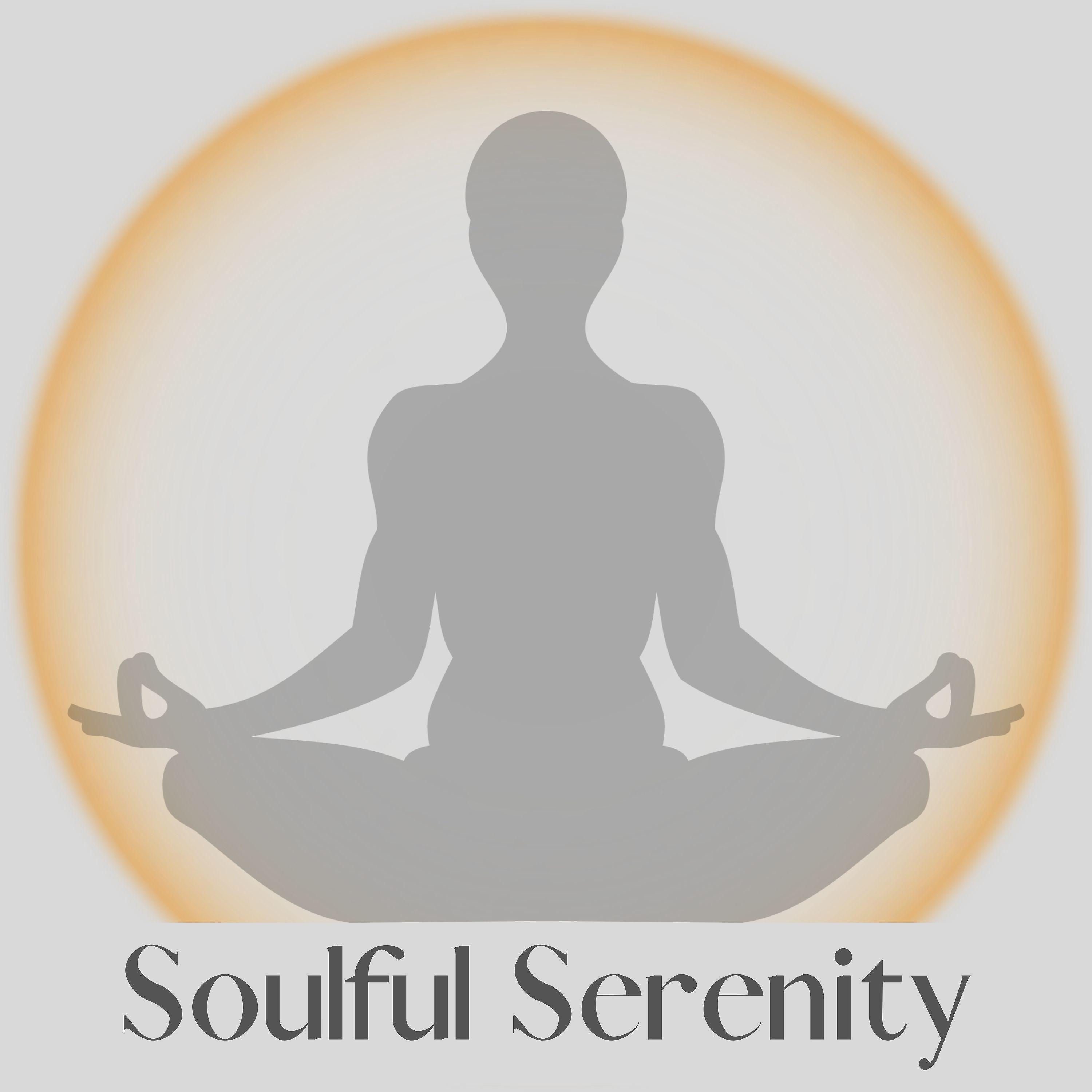 Постер альбома Soulful Serenity
