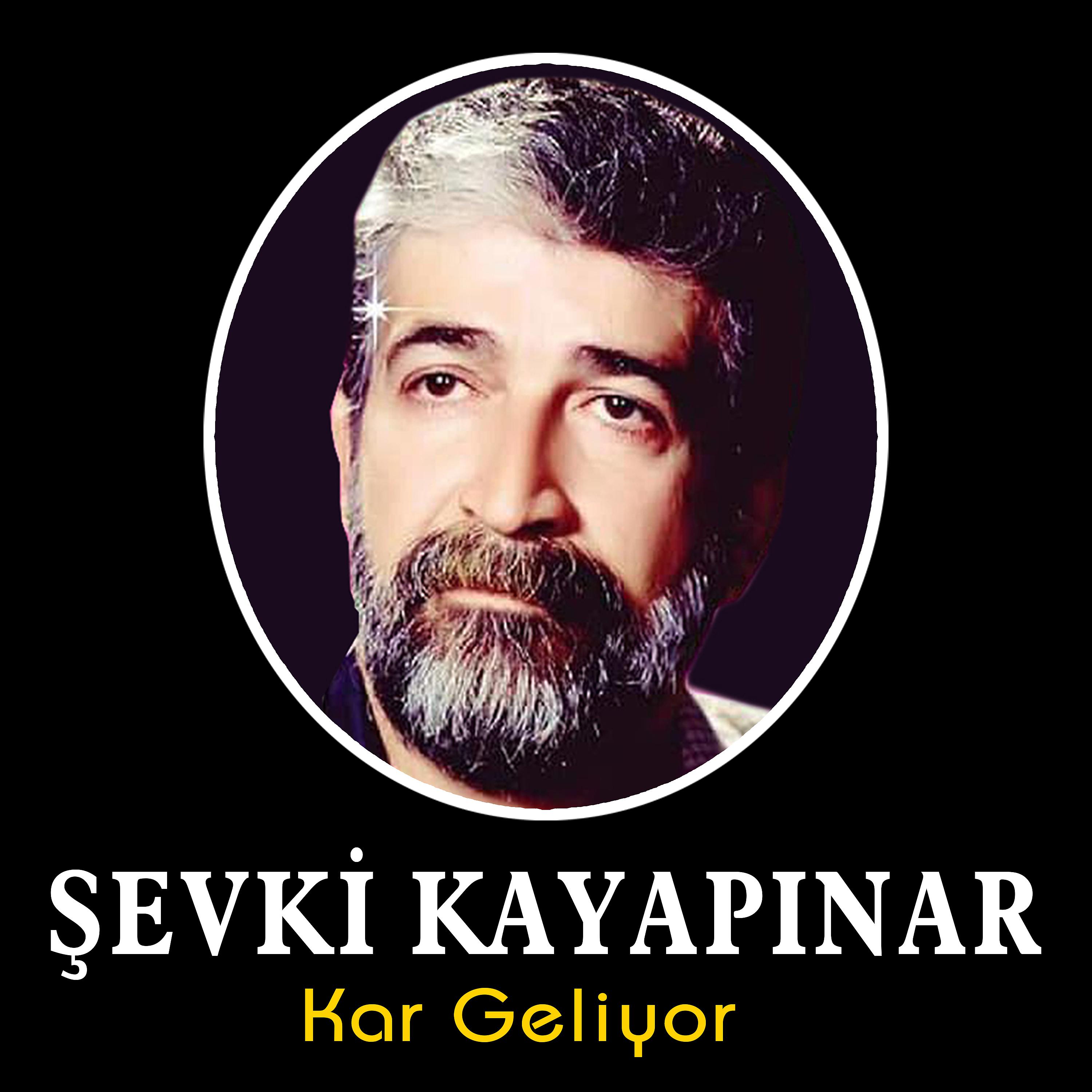 Постер альбома Kar Geliyor