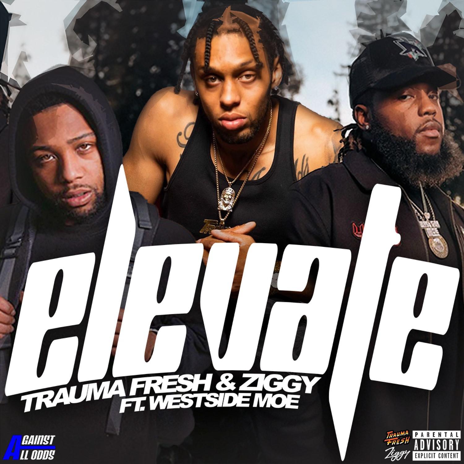 Постер альбома Elevate (feat. Westside Moe)