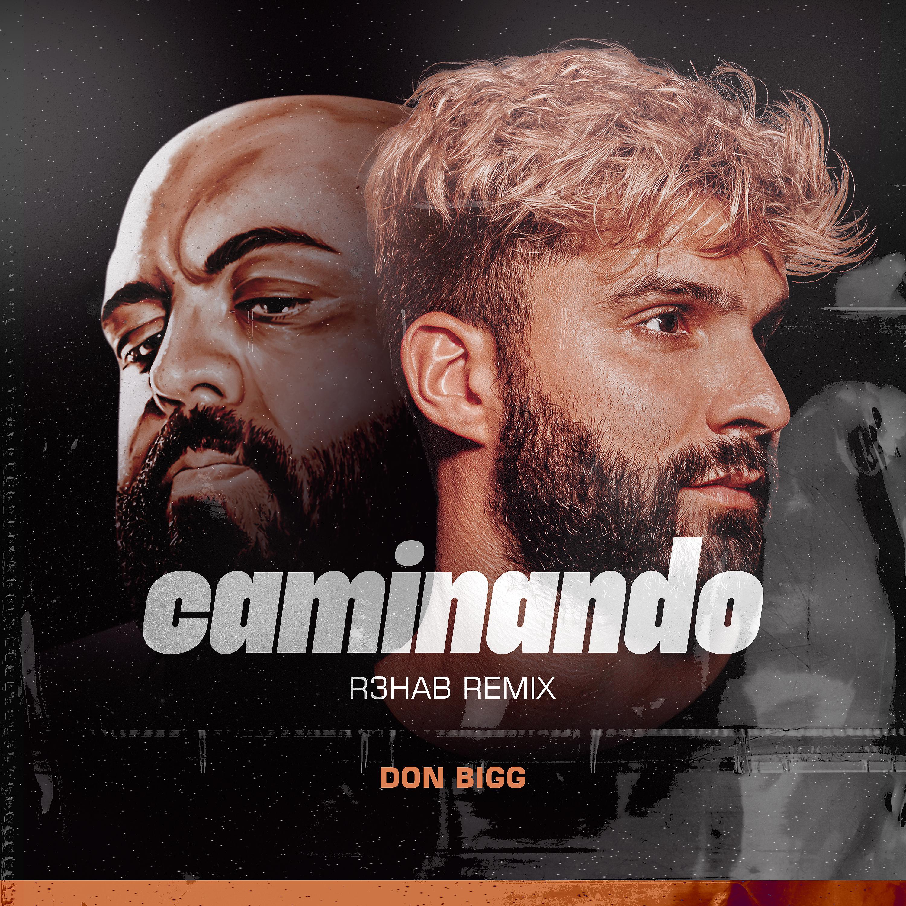 Постер альбома Caminando (R3HAB Remix)
