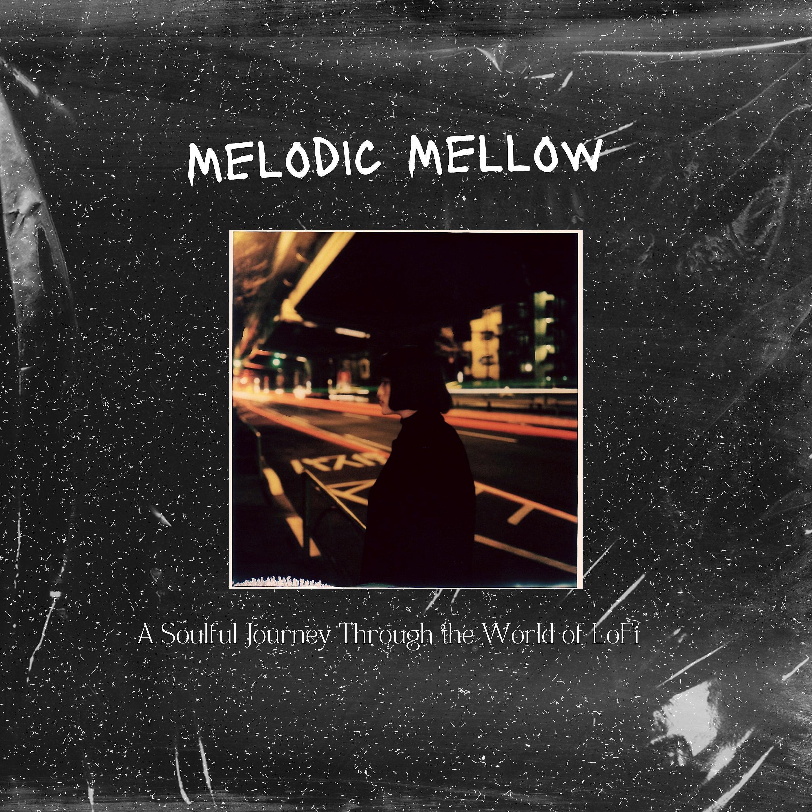 Постер альбома Melodic Mellow