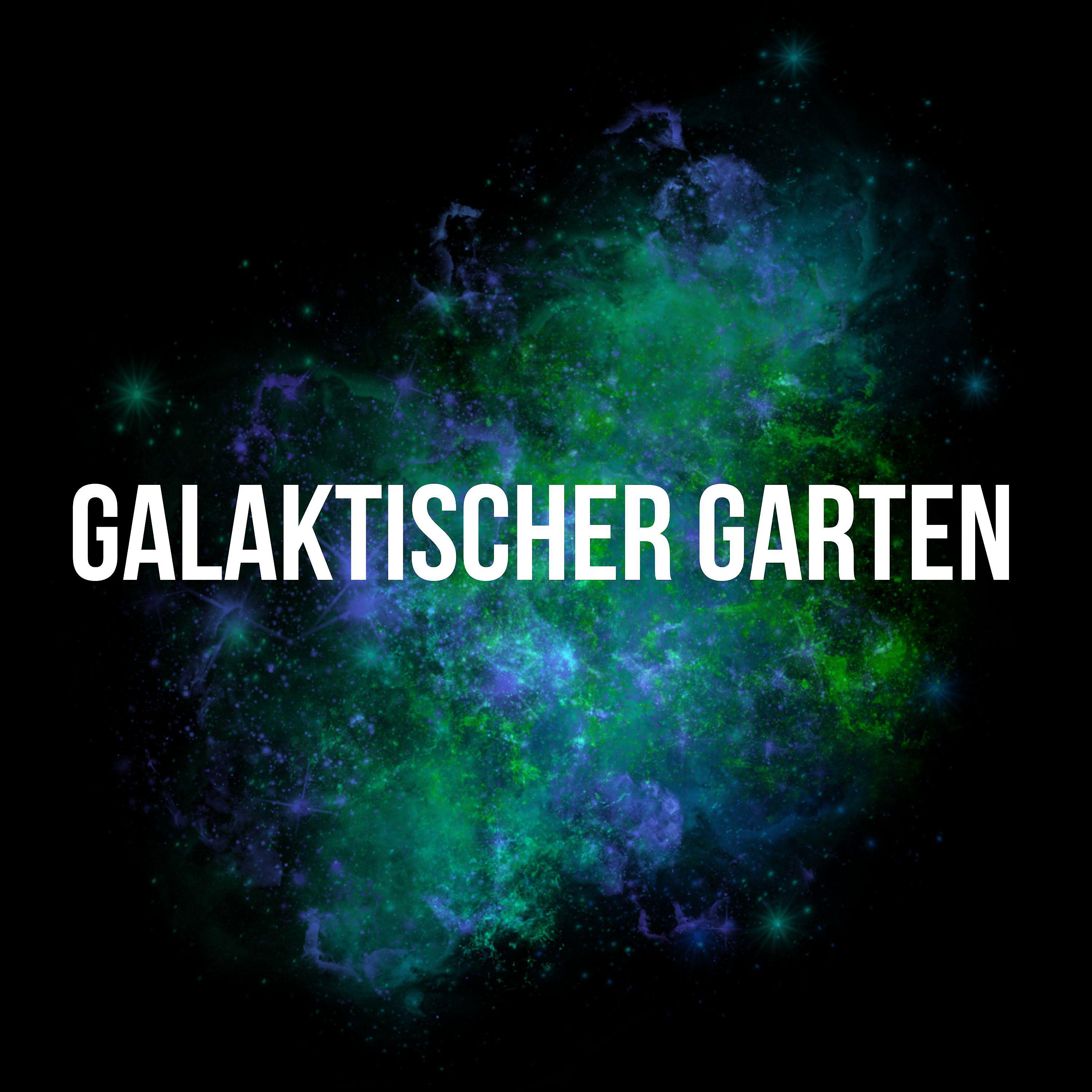 Постер альбома Galaktischer Garten
