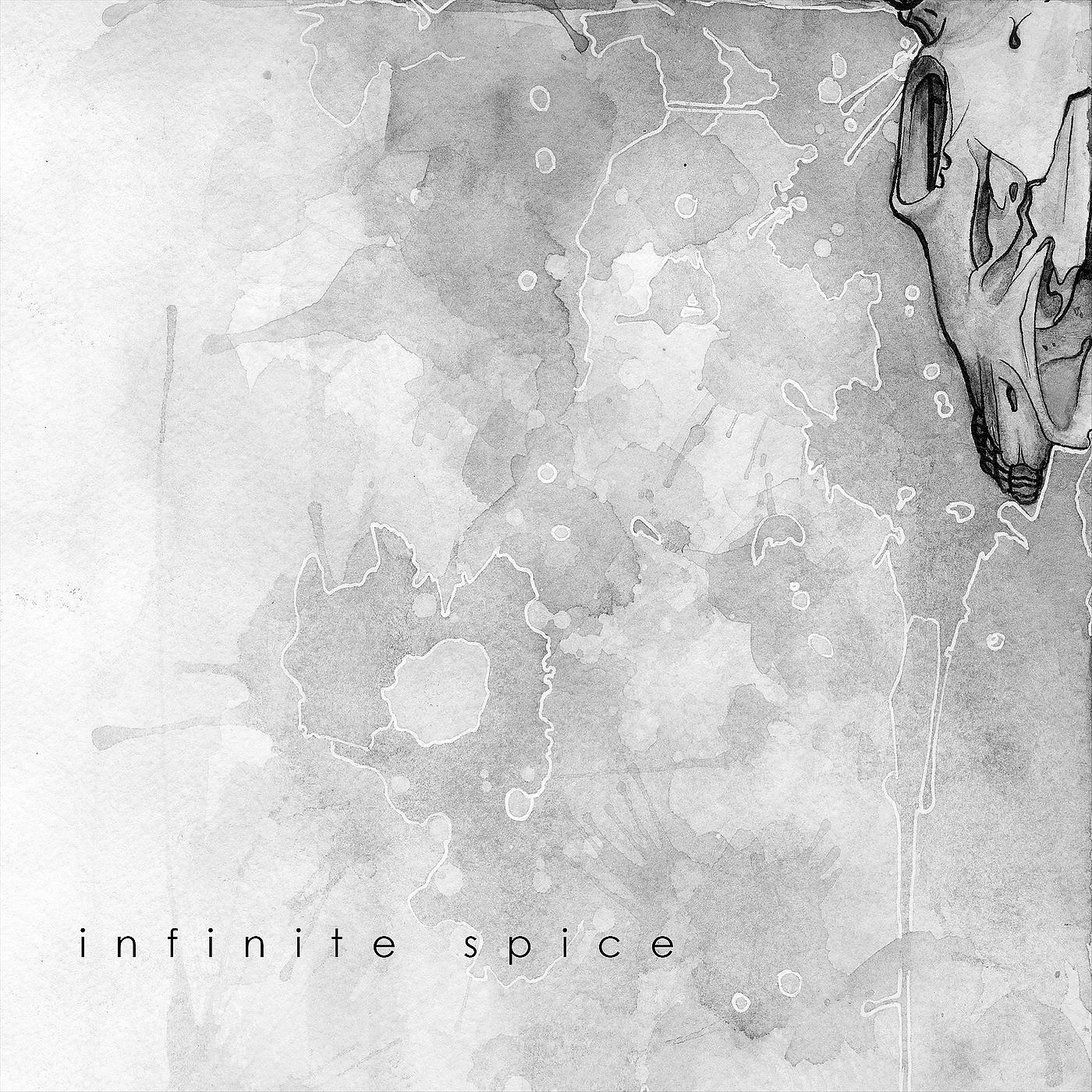 Постер альбома Infinite Spice