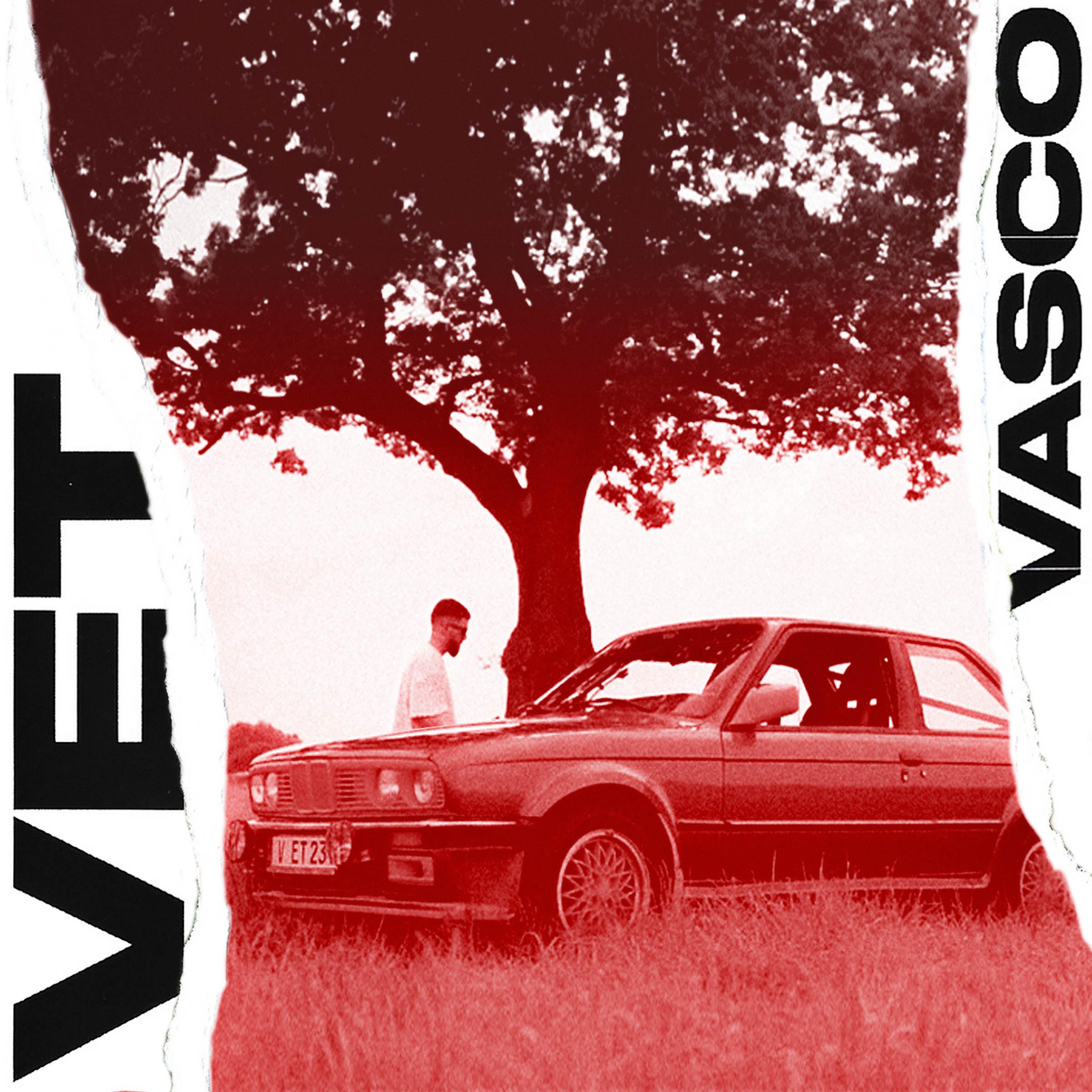 Постер альбома Vet