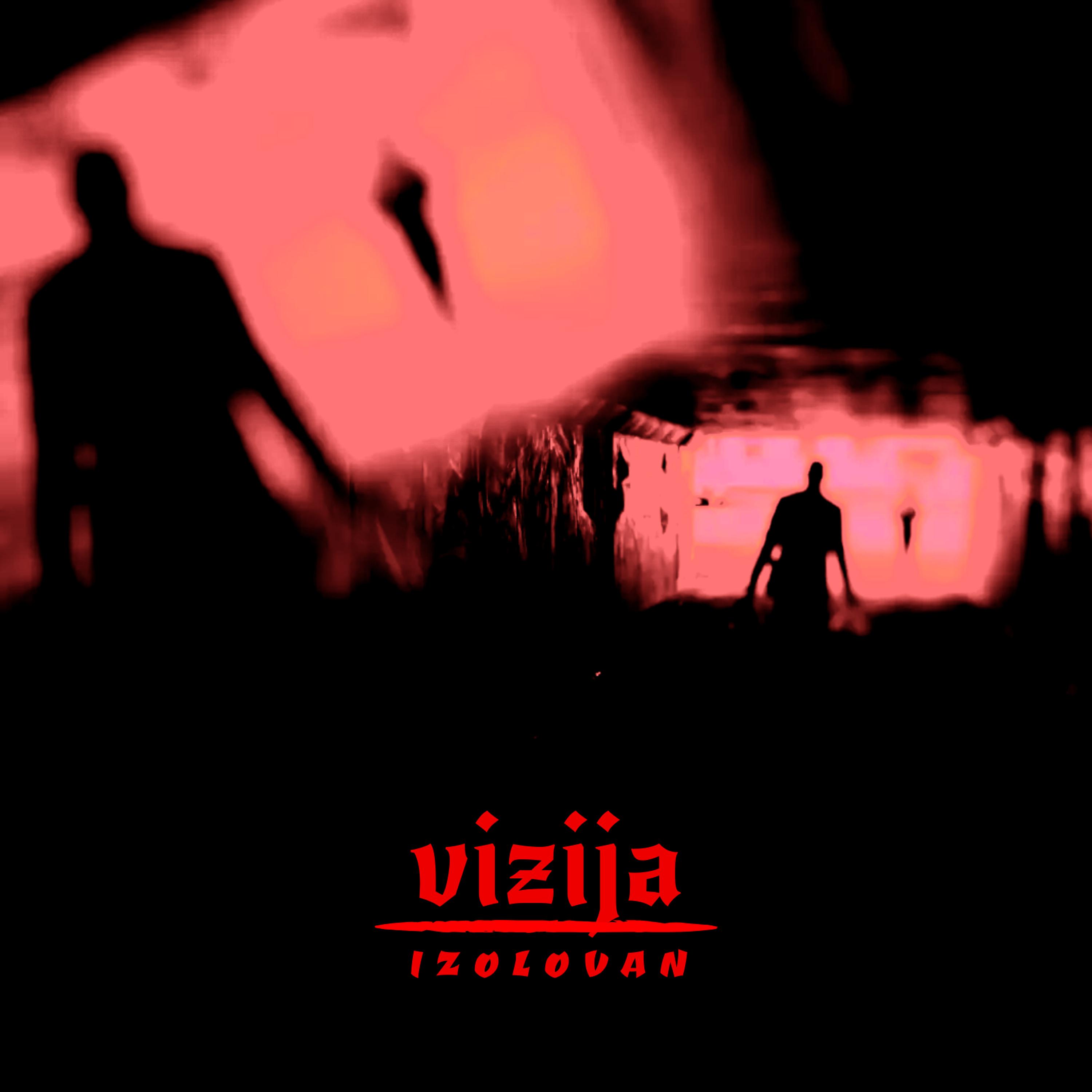 Постер альбома Vizija